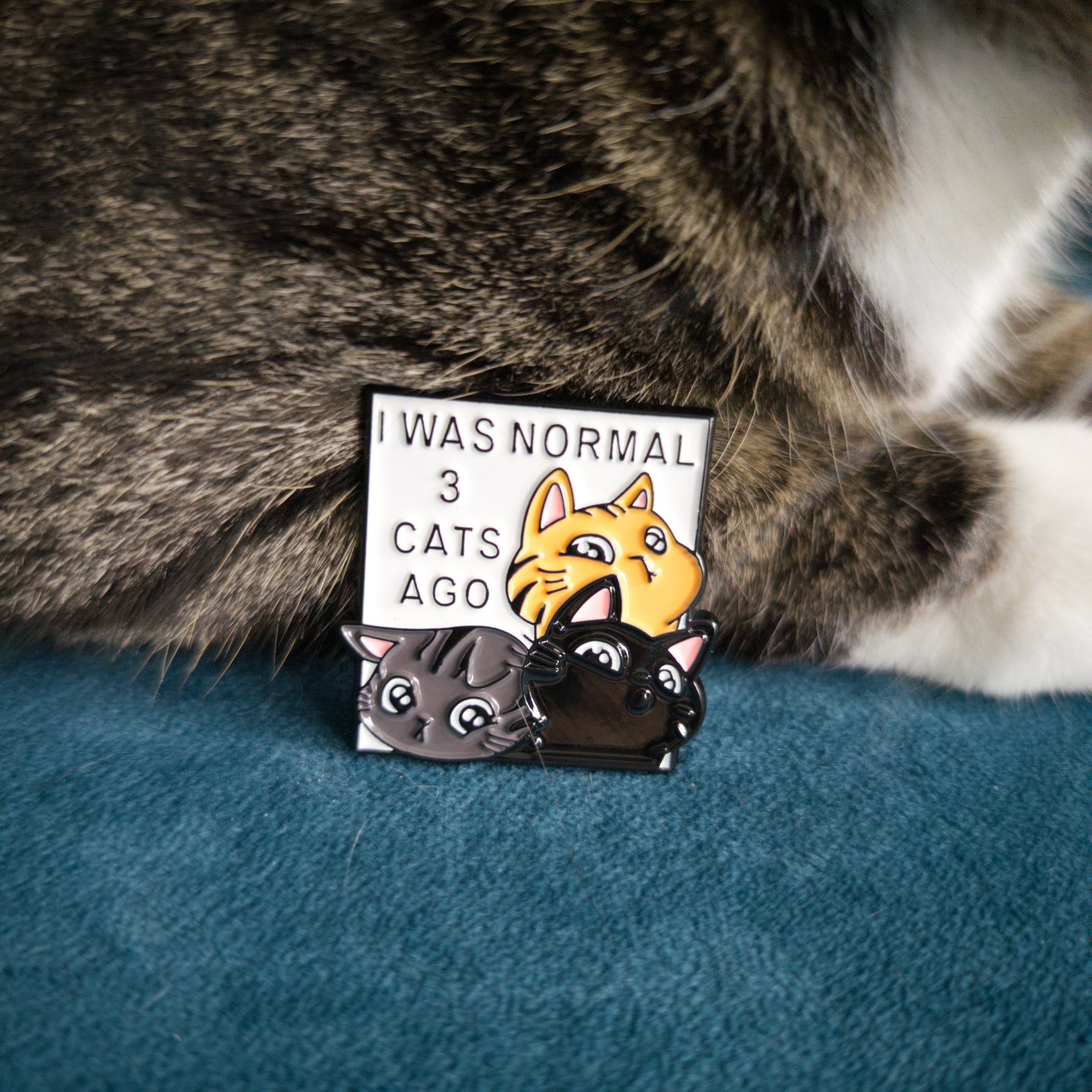 I Was Normal 3 Cats Ago Pin