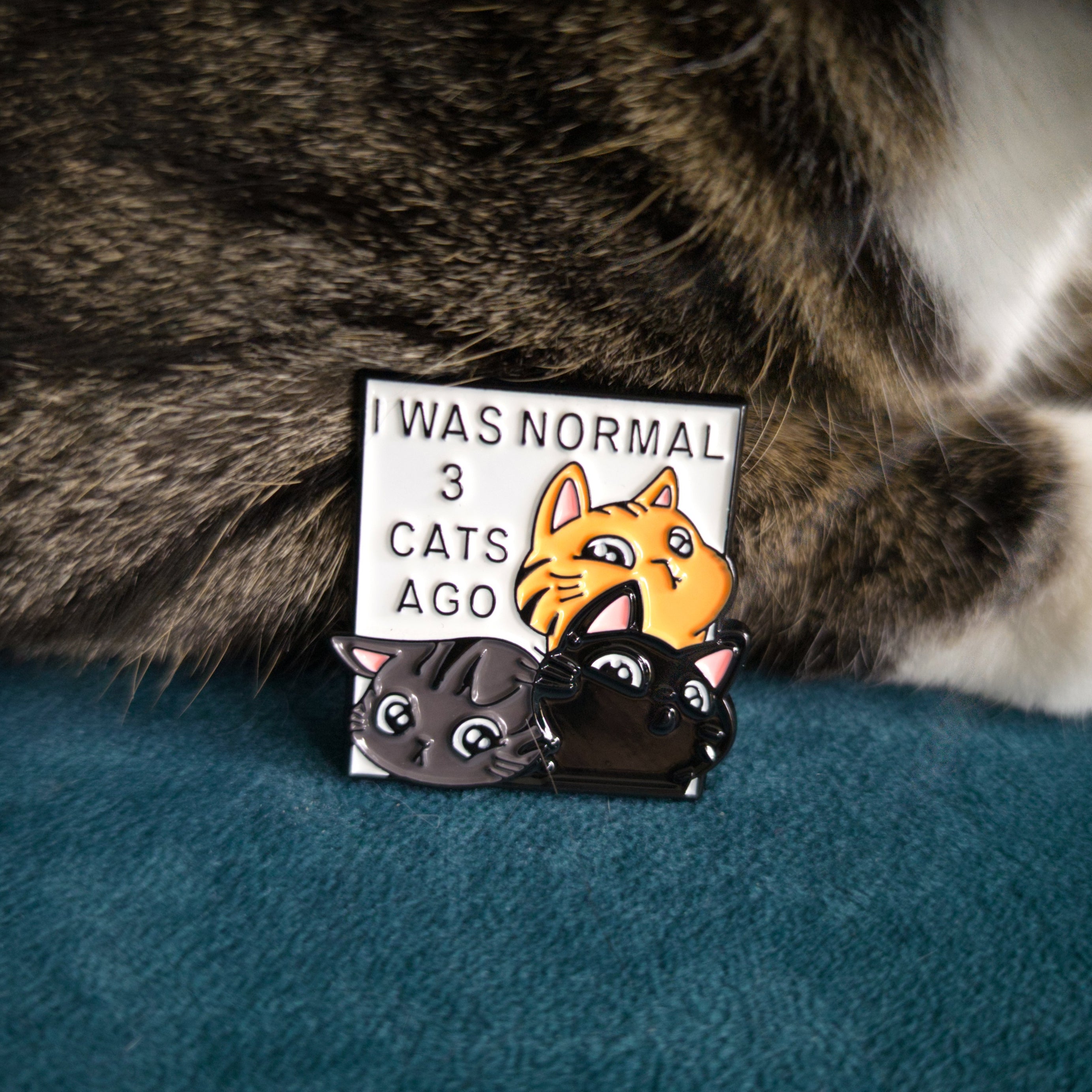 I was normal three cats ago enamel pin