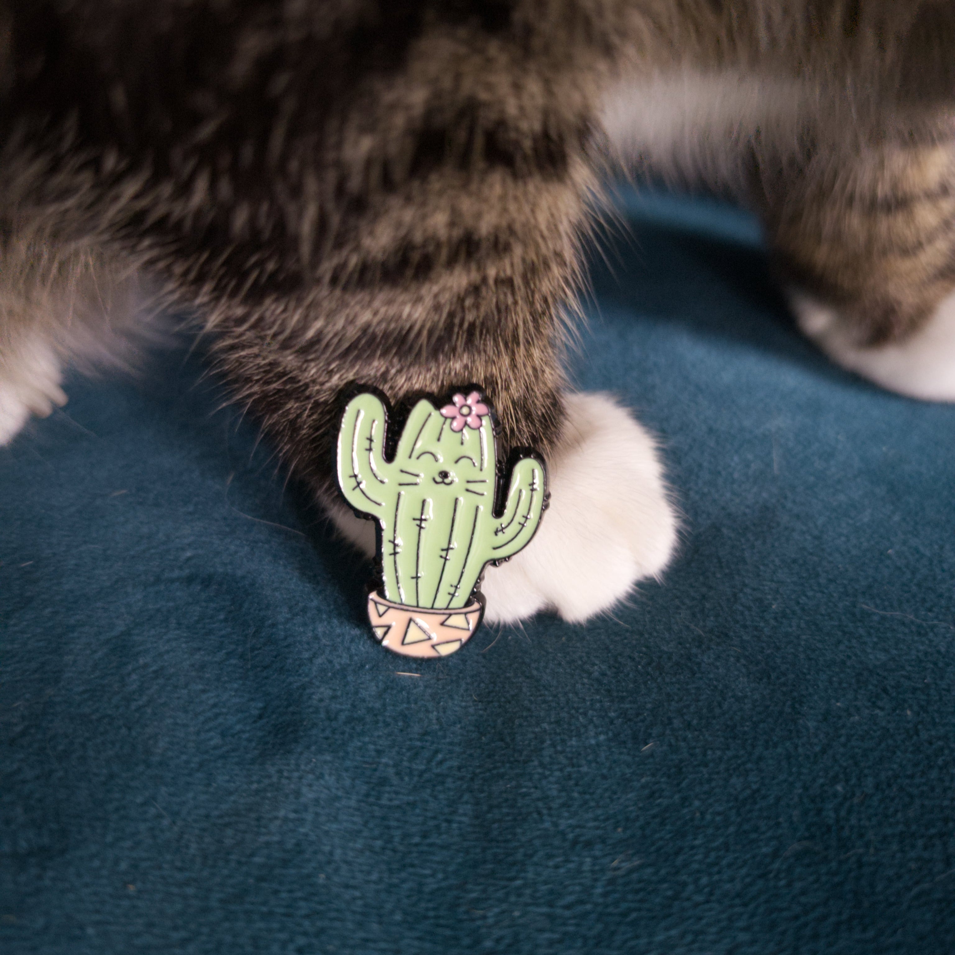 Cactus Cat Pins