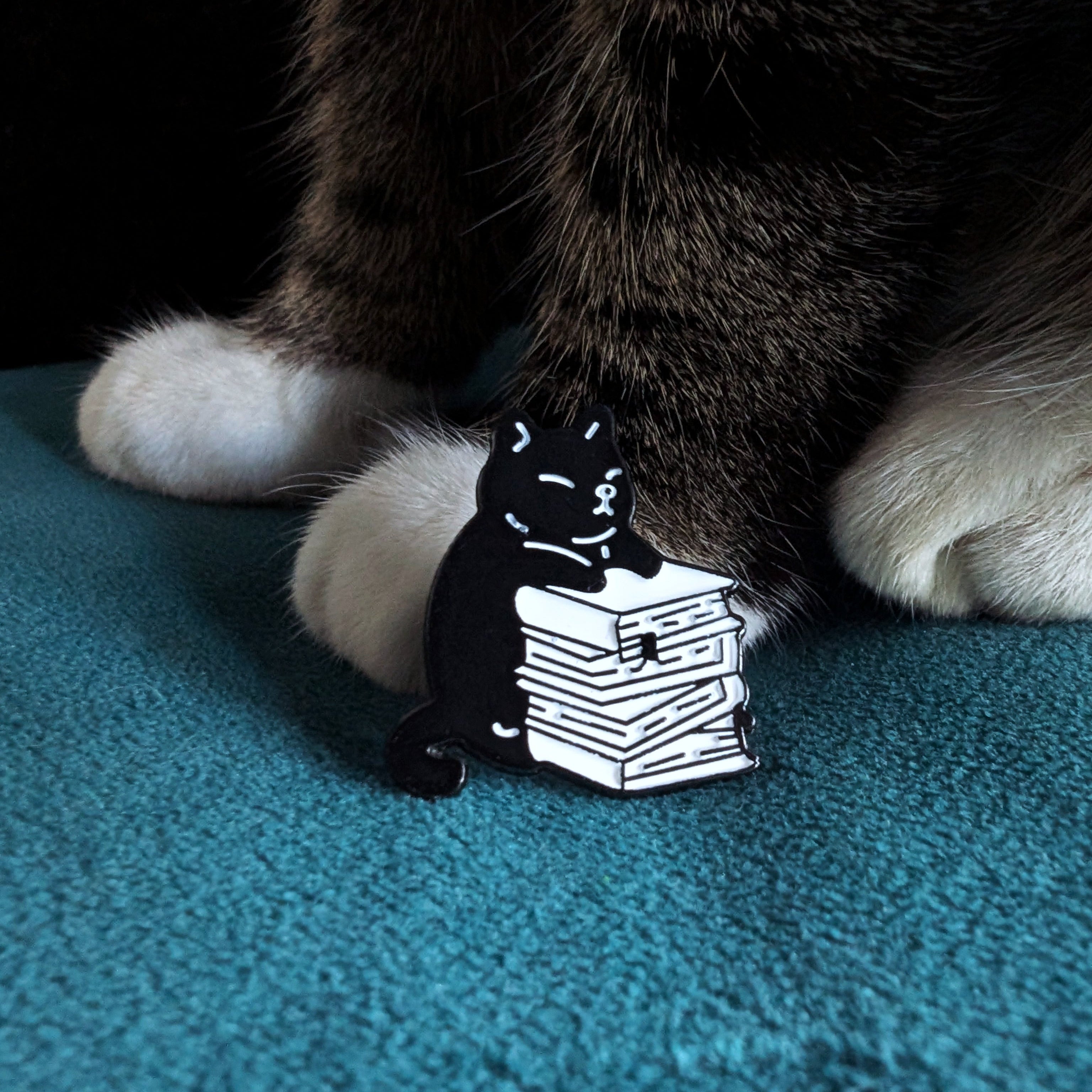 Black cat sitting on stack of books enamel pin