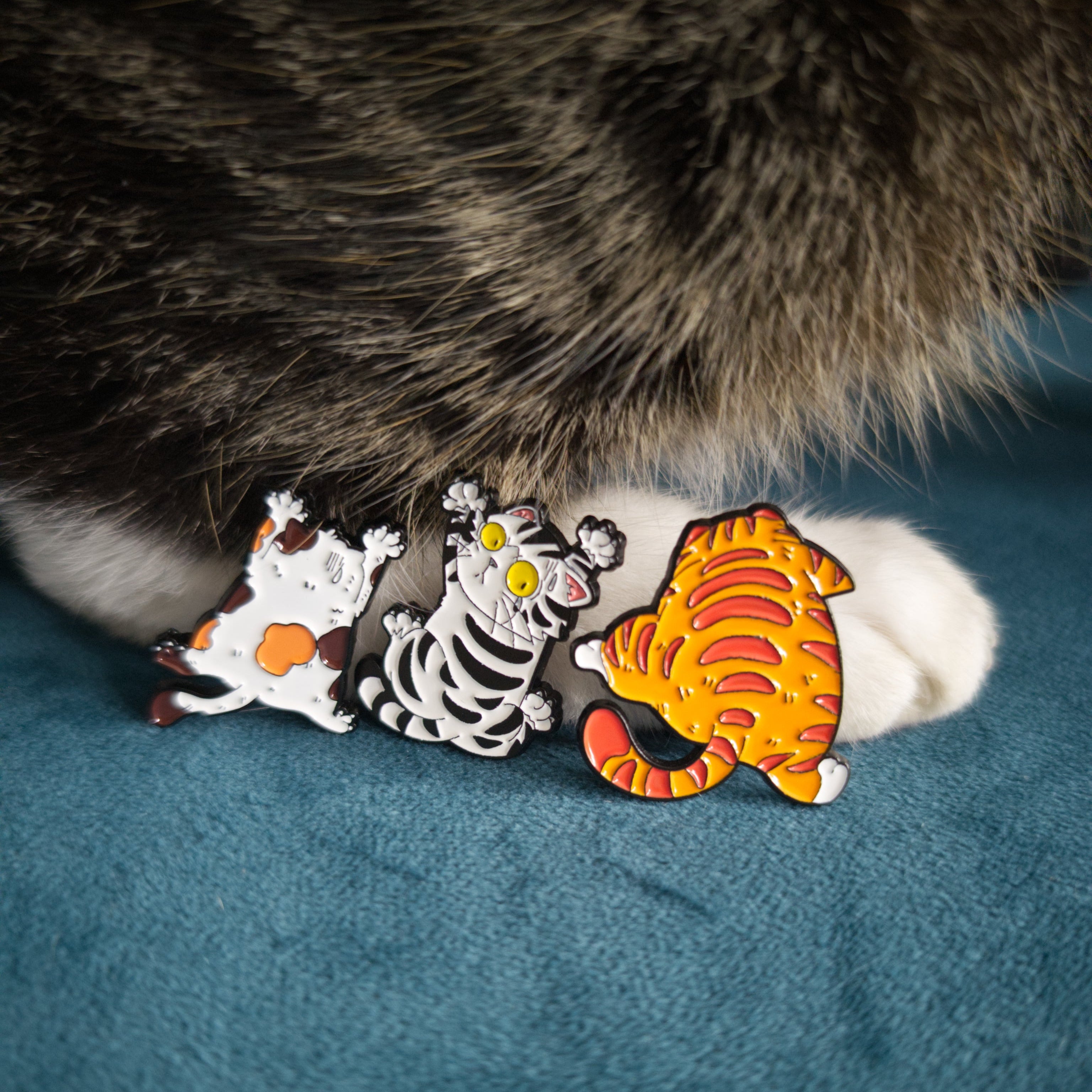 Three colorful cat-shaped pins on a blue surface with a cat's paw partially visible.