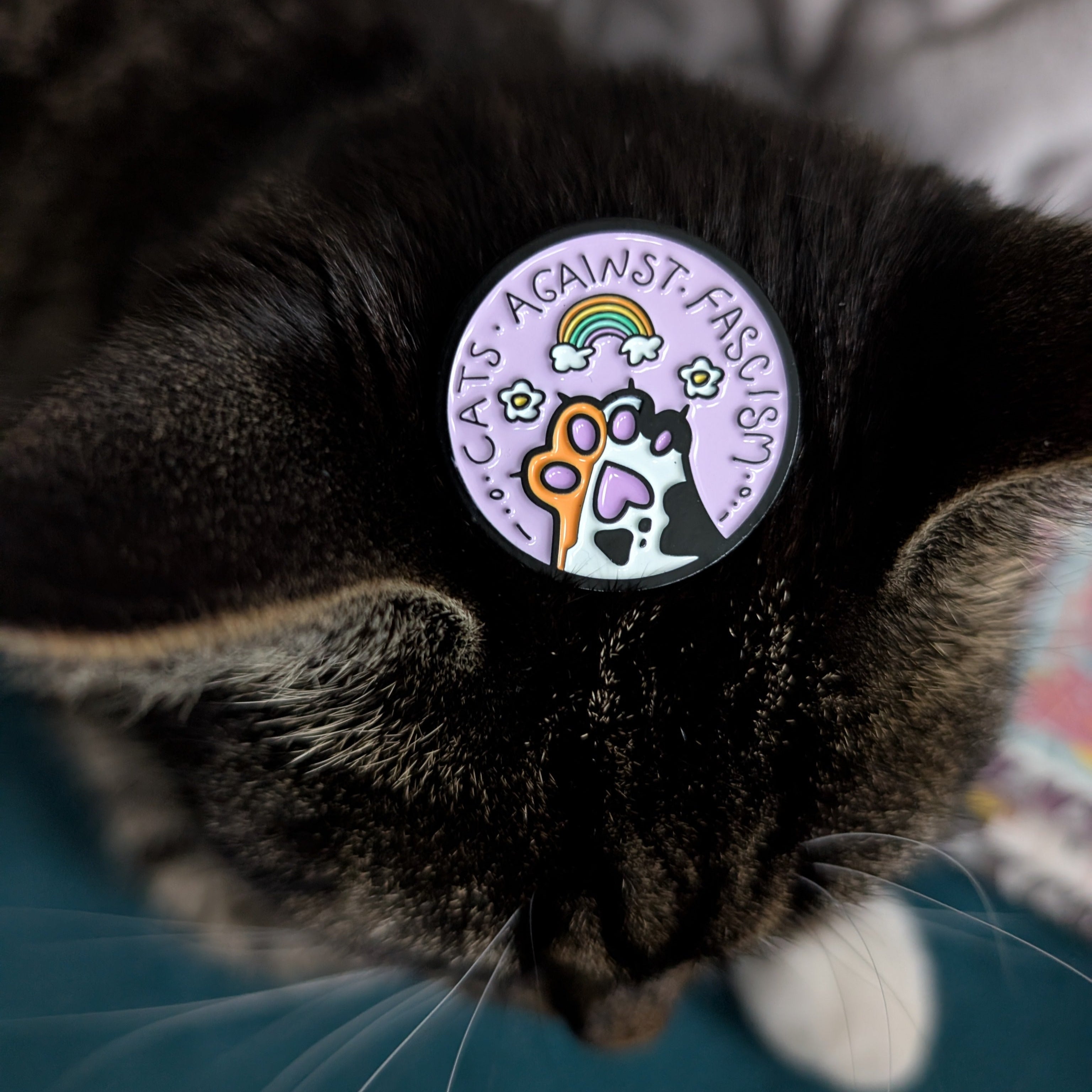Cats Against Fascism Pin