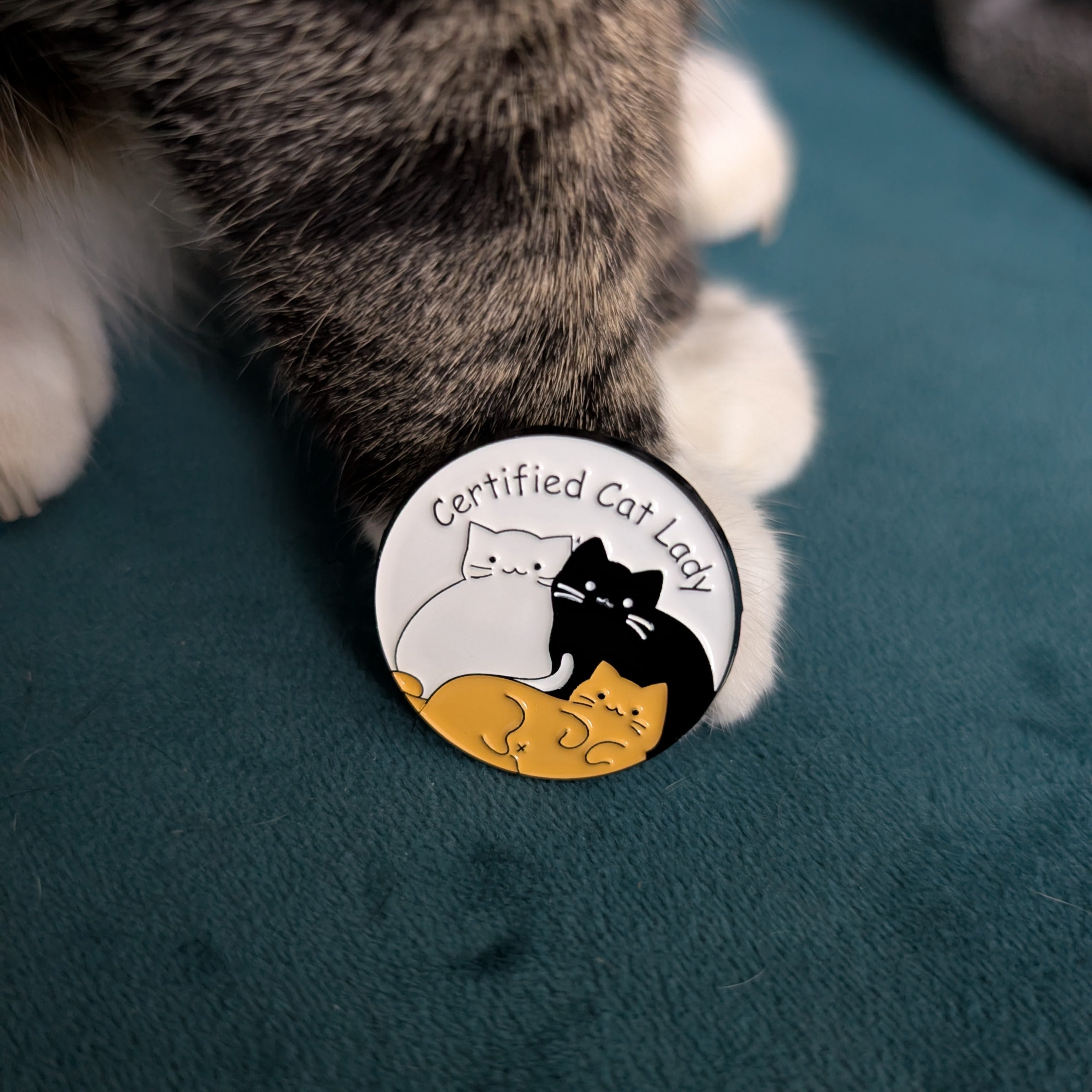 Cat's paw with a 'Certified Cat Lady' button on a teal surface