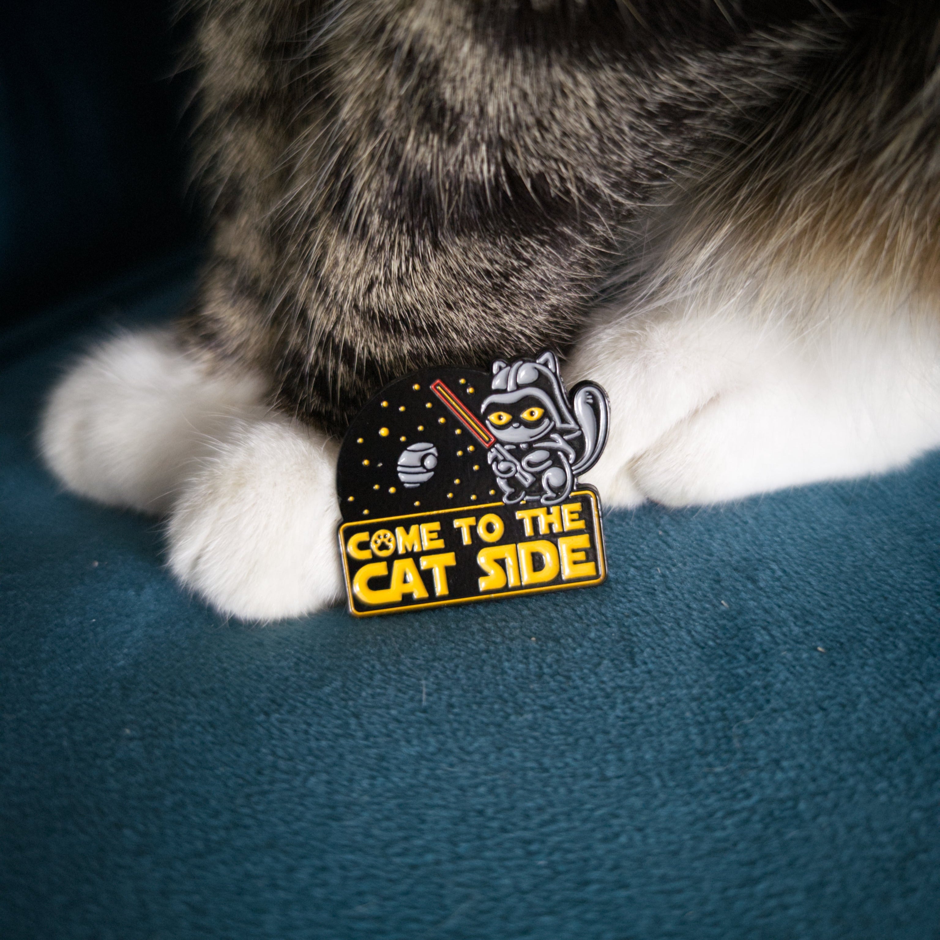 Come to the CAT SIDE - Pin