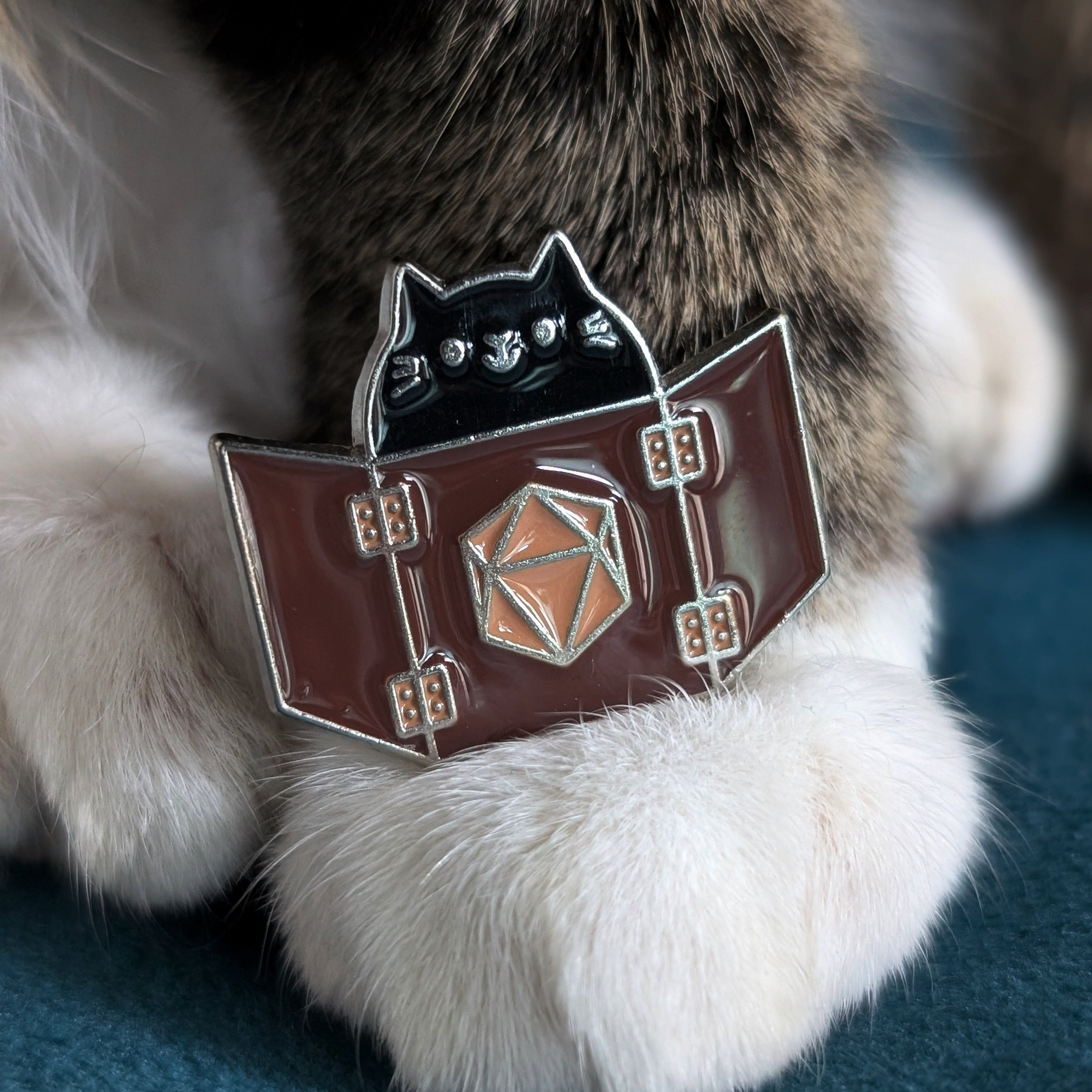 A black cat with a DND book