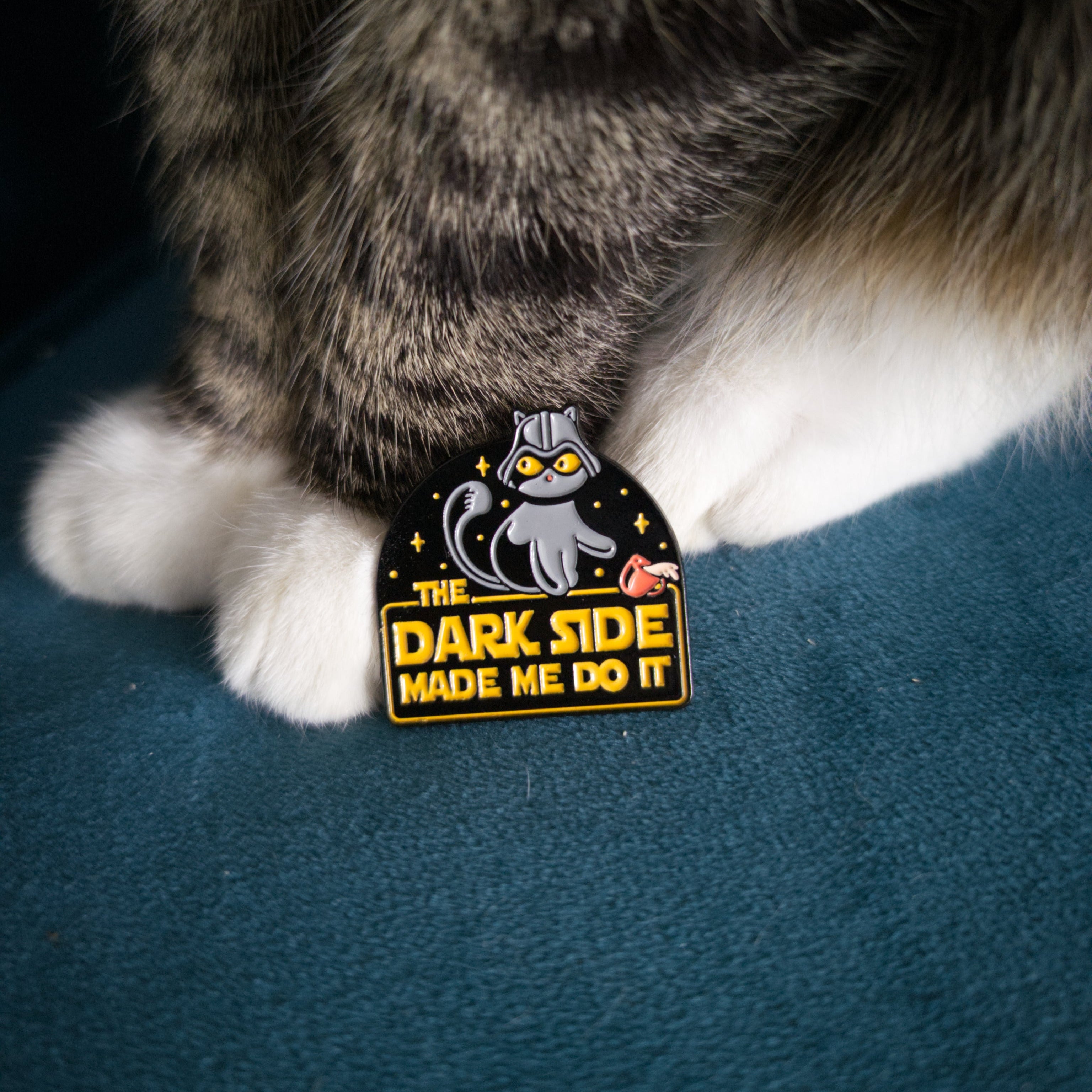 Come to the CAT SIDE - Pin
