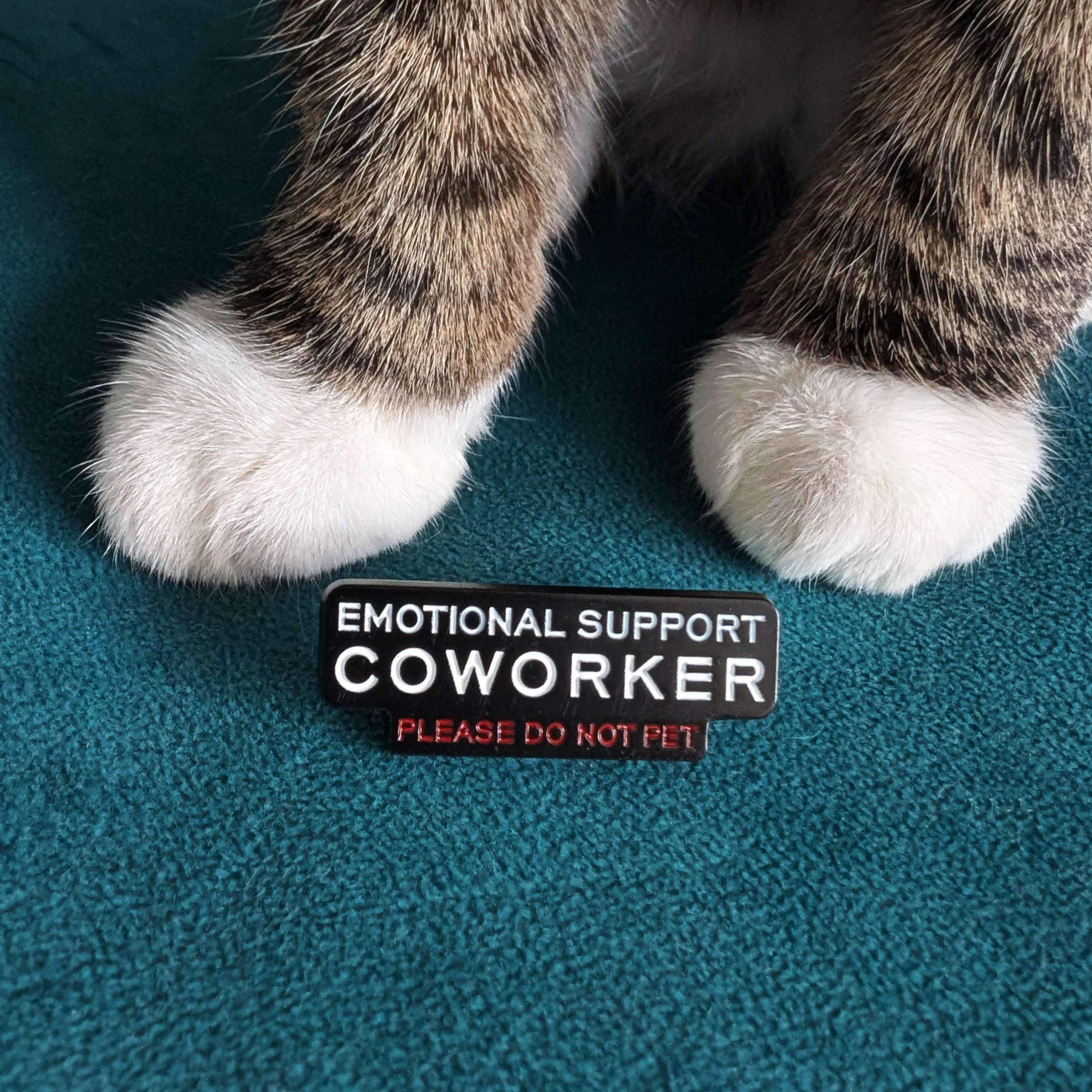 Enamel pin with emotional support co worker cat. Do not pet