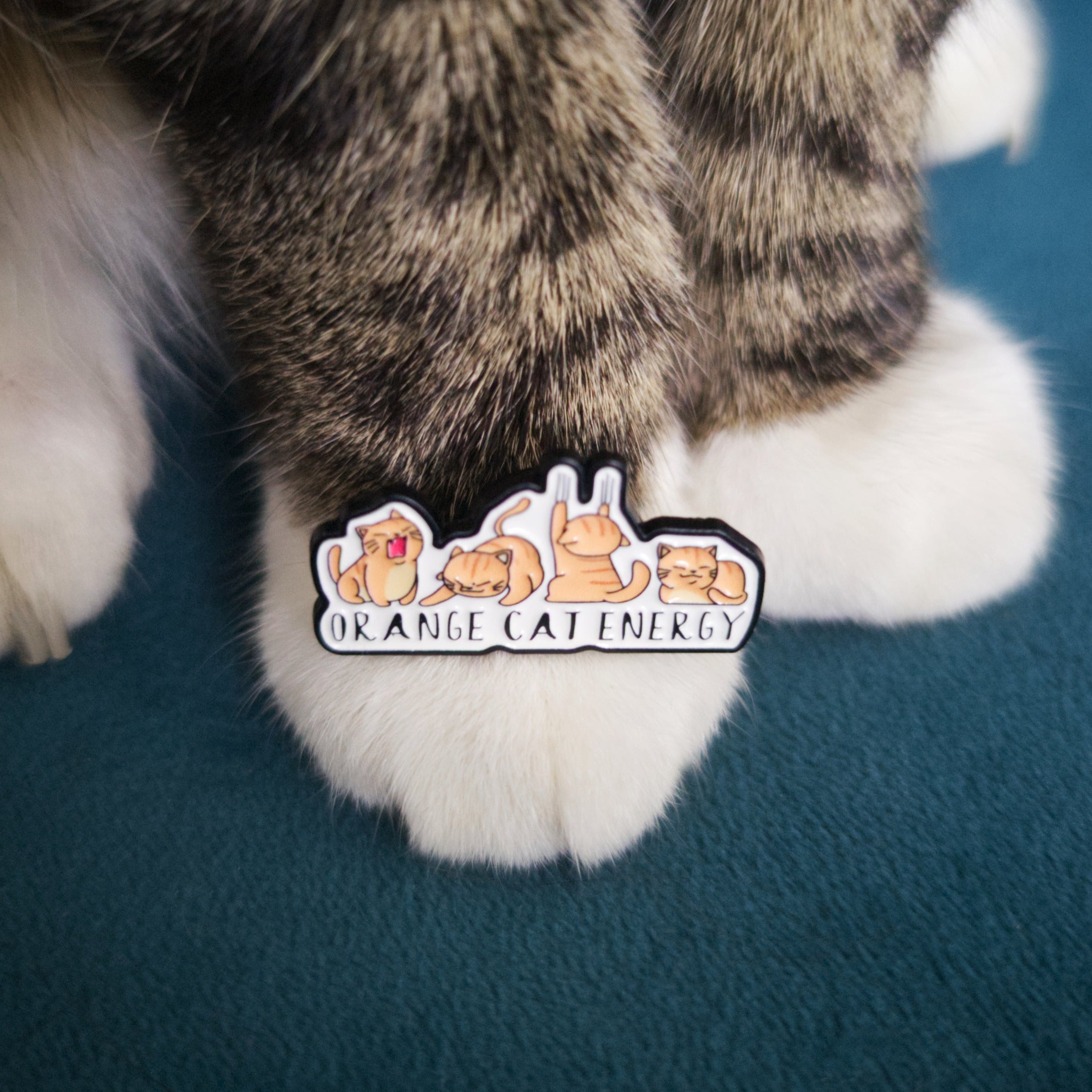 Four orange cats energy pin