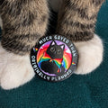 A round enamel pin featuring a black cat wearing a rainbow cape, surrounded by the text 'MUCH GAYER THAN Originally Planned,' displayed on a dark teal textured surface with a cat's paws in the background.