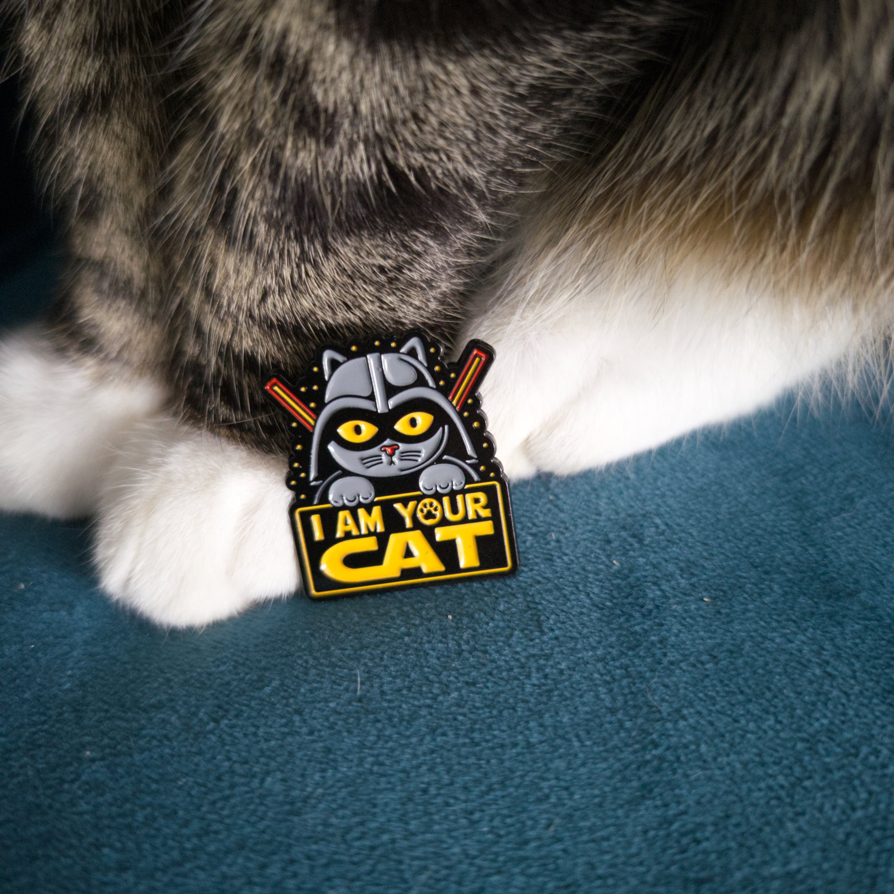 Come to the CAT SIDE - Pin