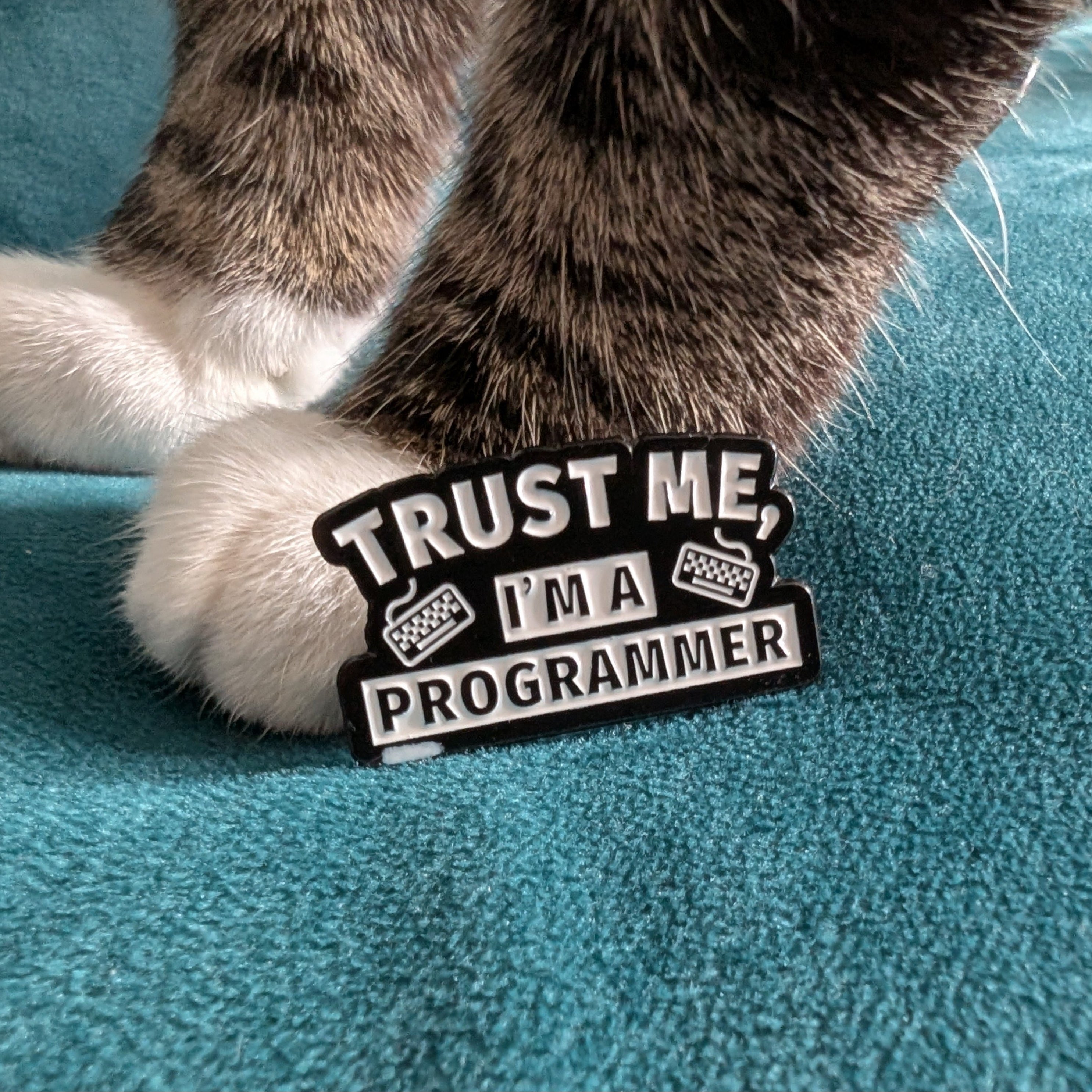 Trust Me, I'm a Programmer Pin