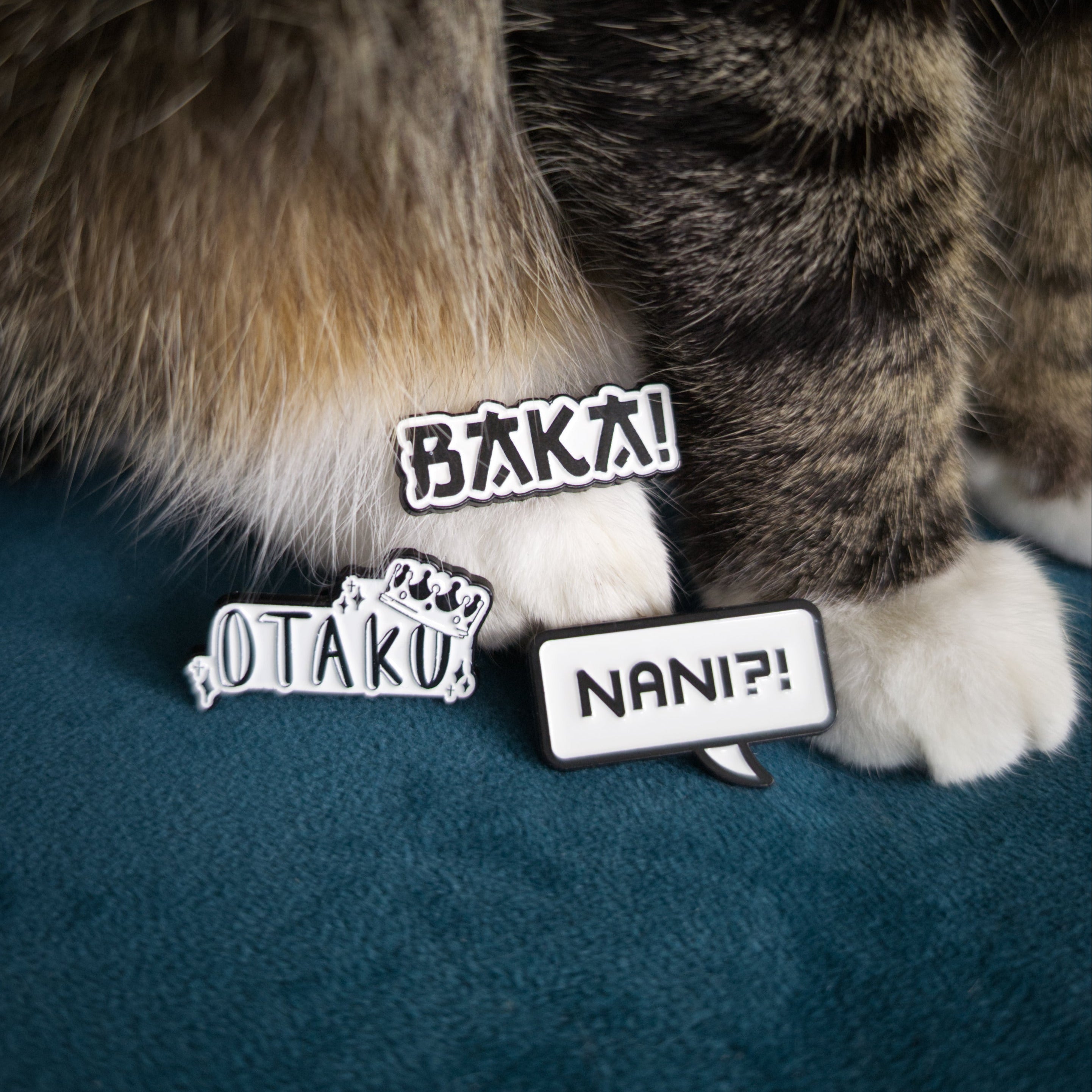 Pins with Japanese text next to a cat's paws. The pins read 'スグサ!' (Otaku!), 'スグン!' (Otaku!), and 'シグン!' (Nani?).
