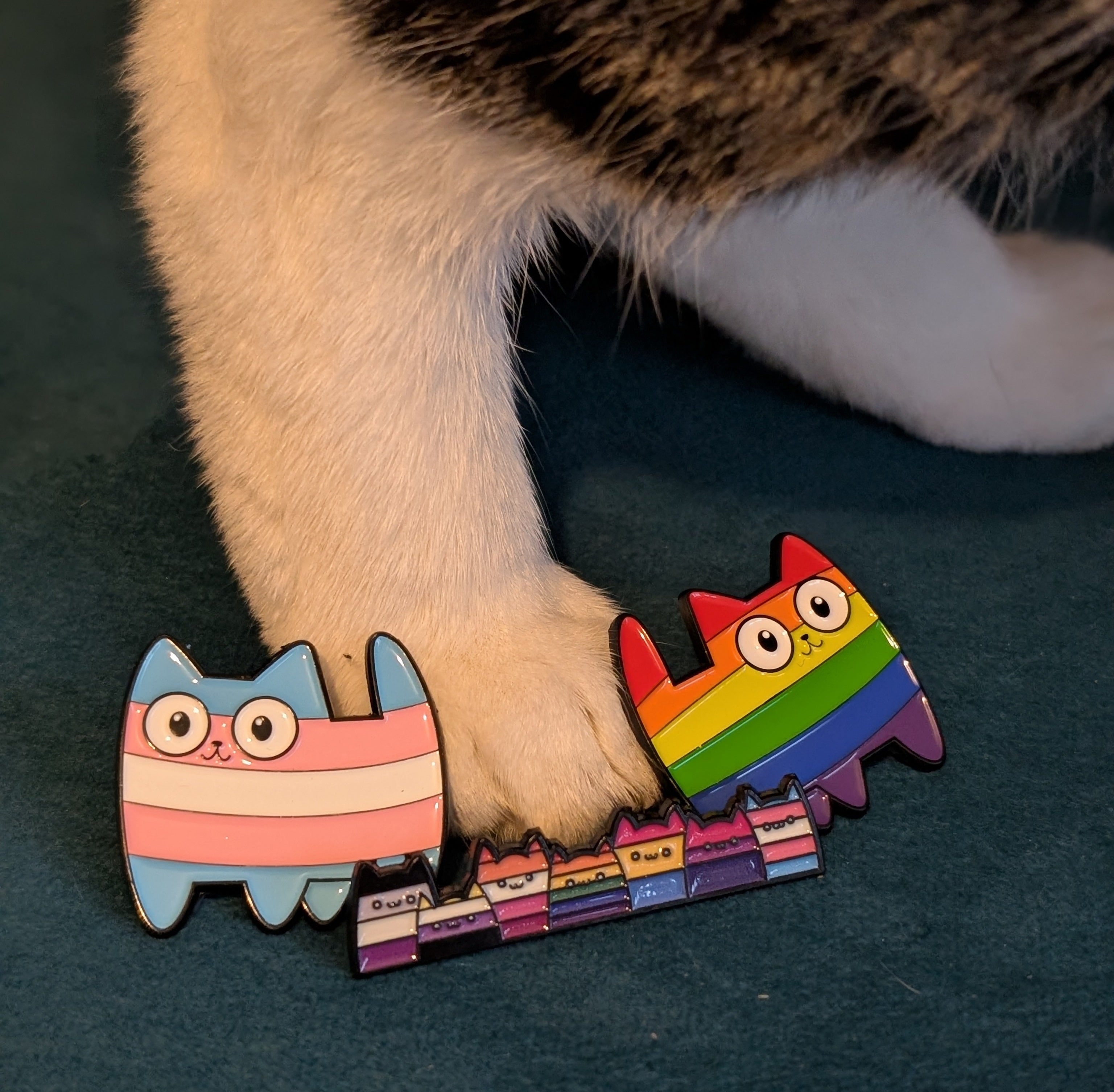LGBTQ+ Cat Pin