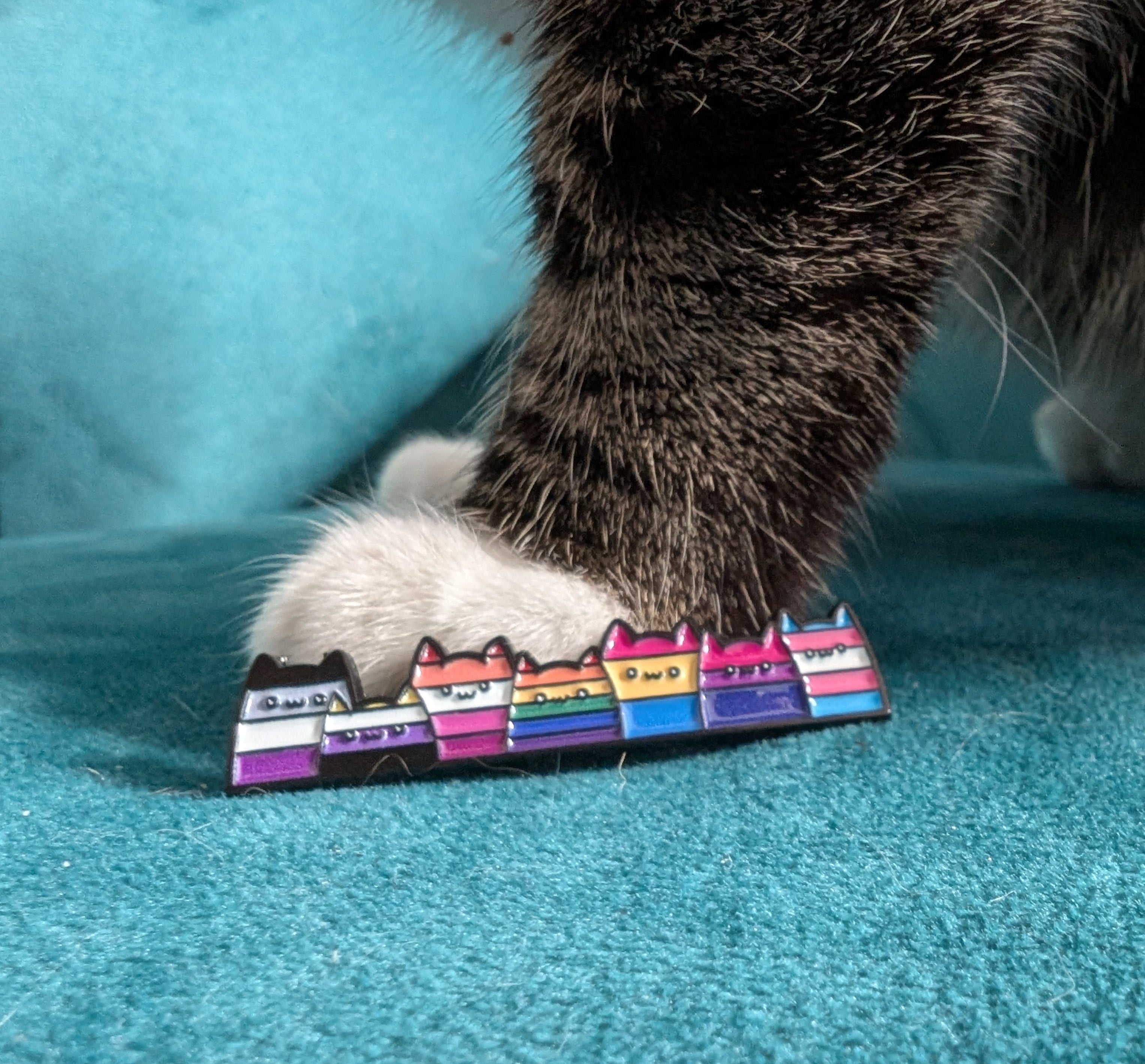 LGBTQ+ Cat Pin