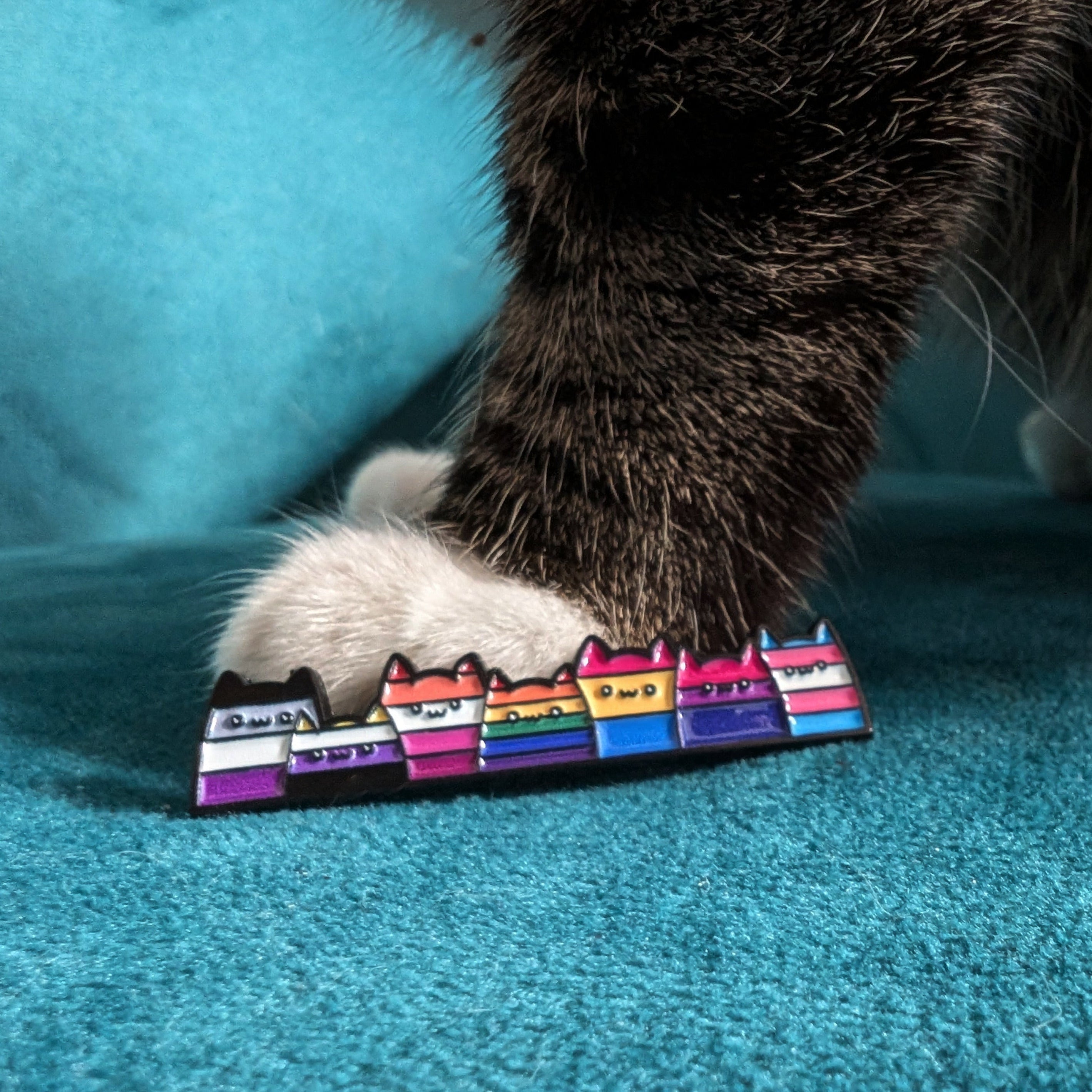 LGBTQ+ cats enamel pin