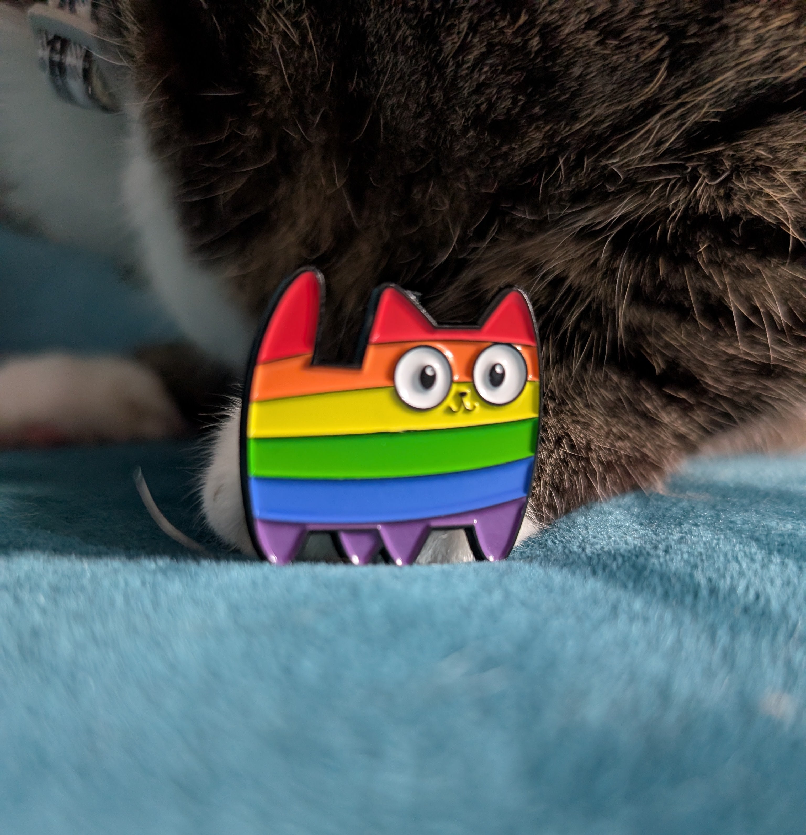 LGBTQ+ Cat Pin