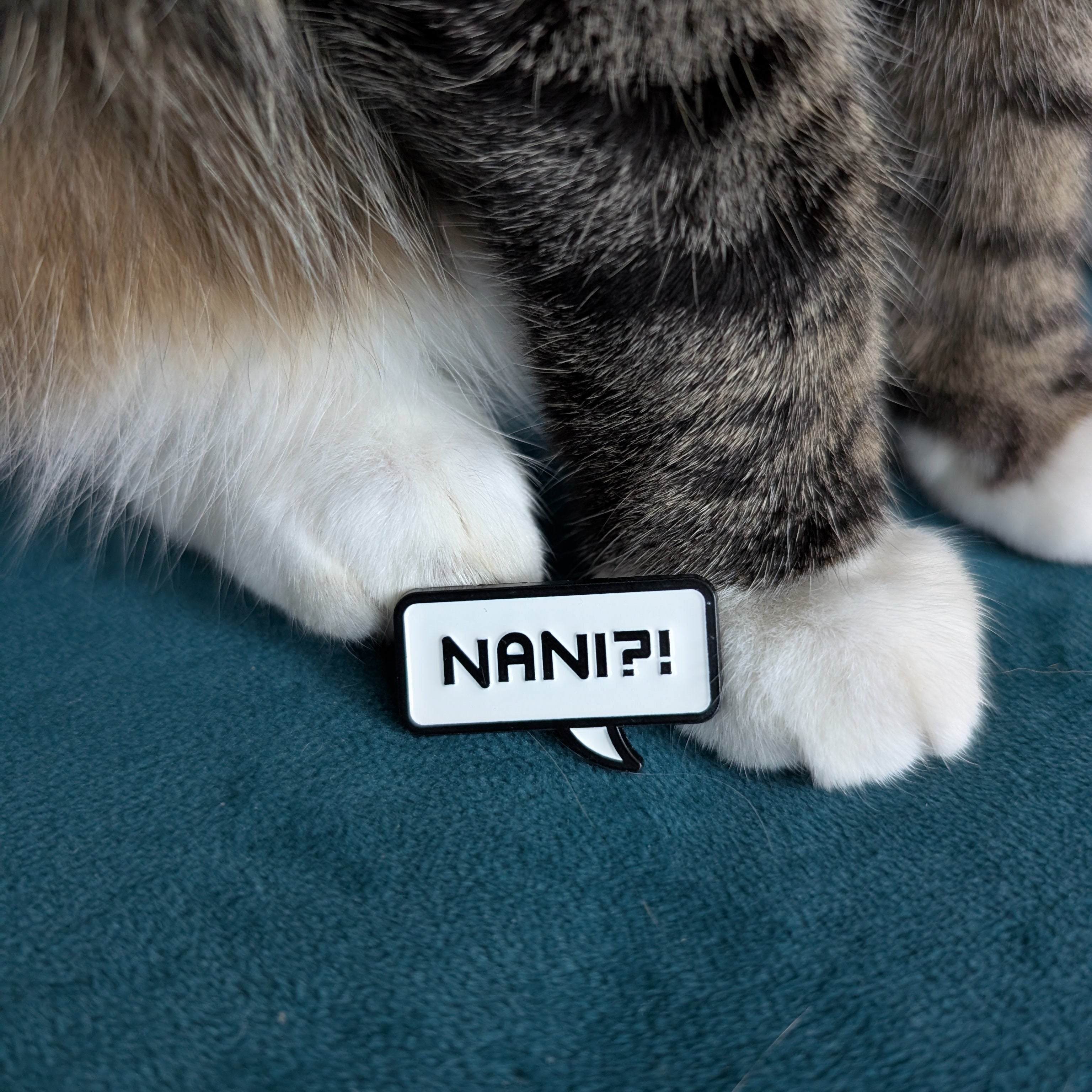Cat paws with a speech bubble labeled 'NANI?!' on a teal background