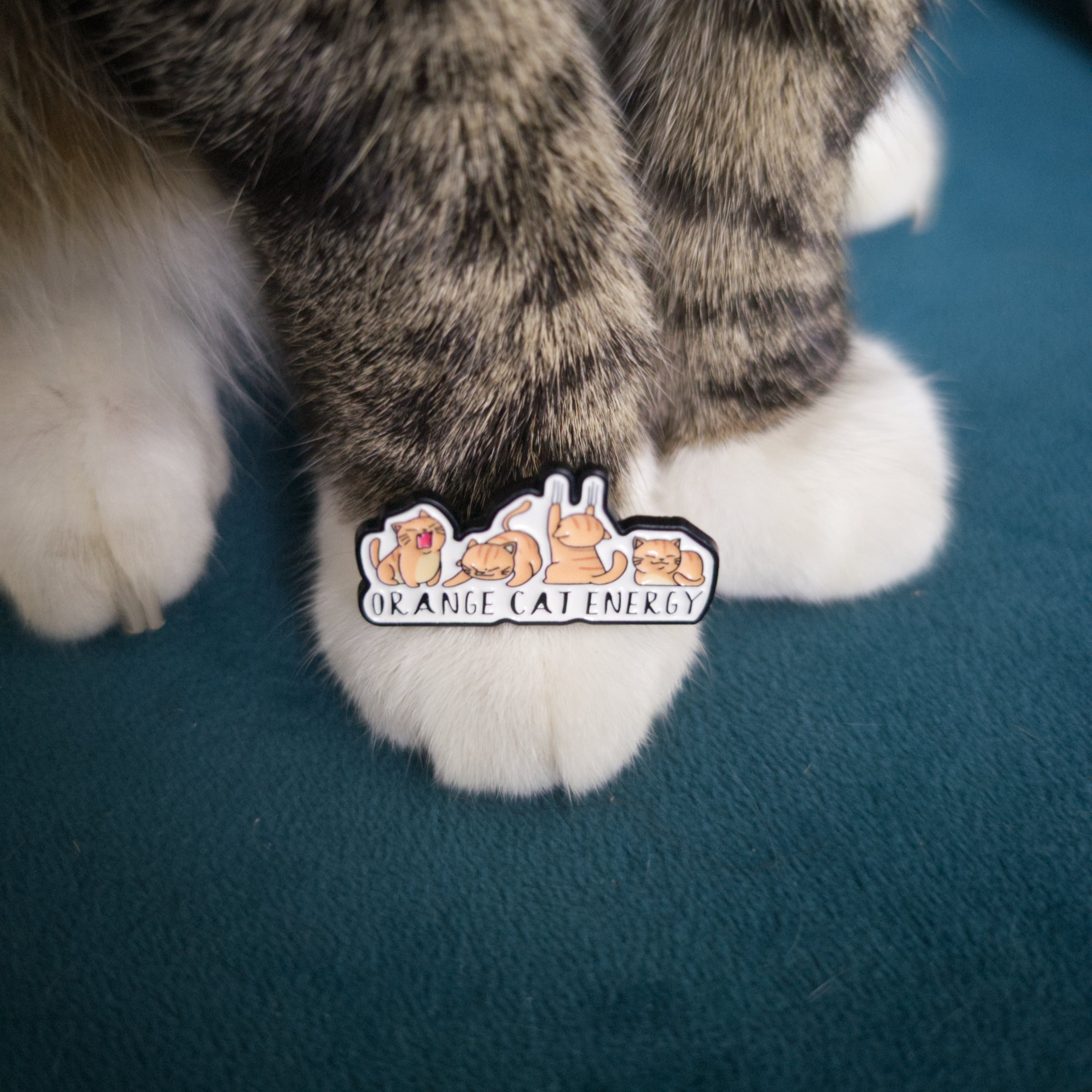 Cat paws with a 'Orange Cat Energy' pin on a blue surface