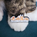 Four orange cats energy pin
