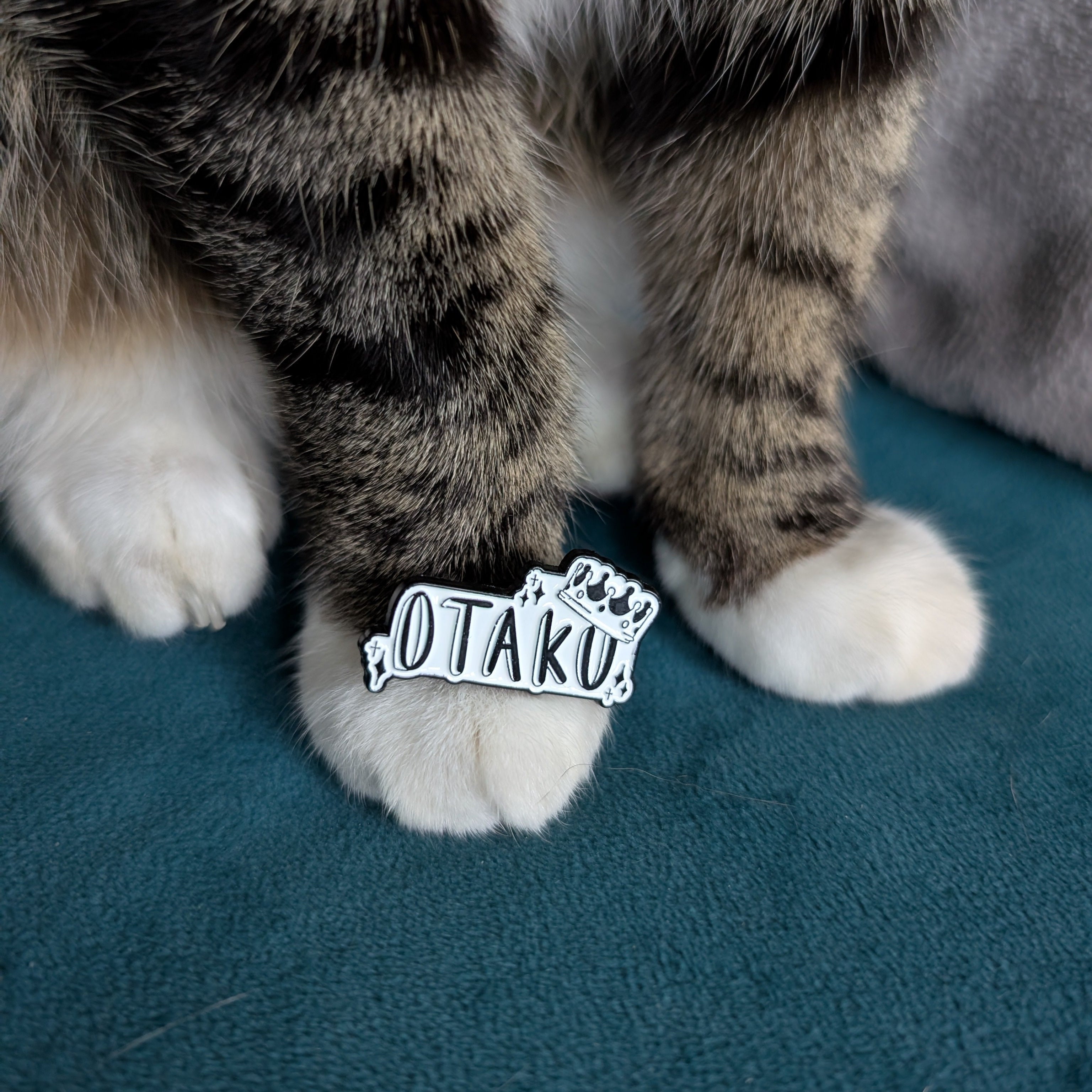 Cat's paw with 'OTAKU' sticker on a teal surface