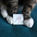 A close-up of a cat's paws with a paw middle finger pin.