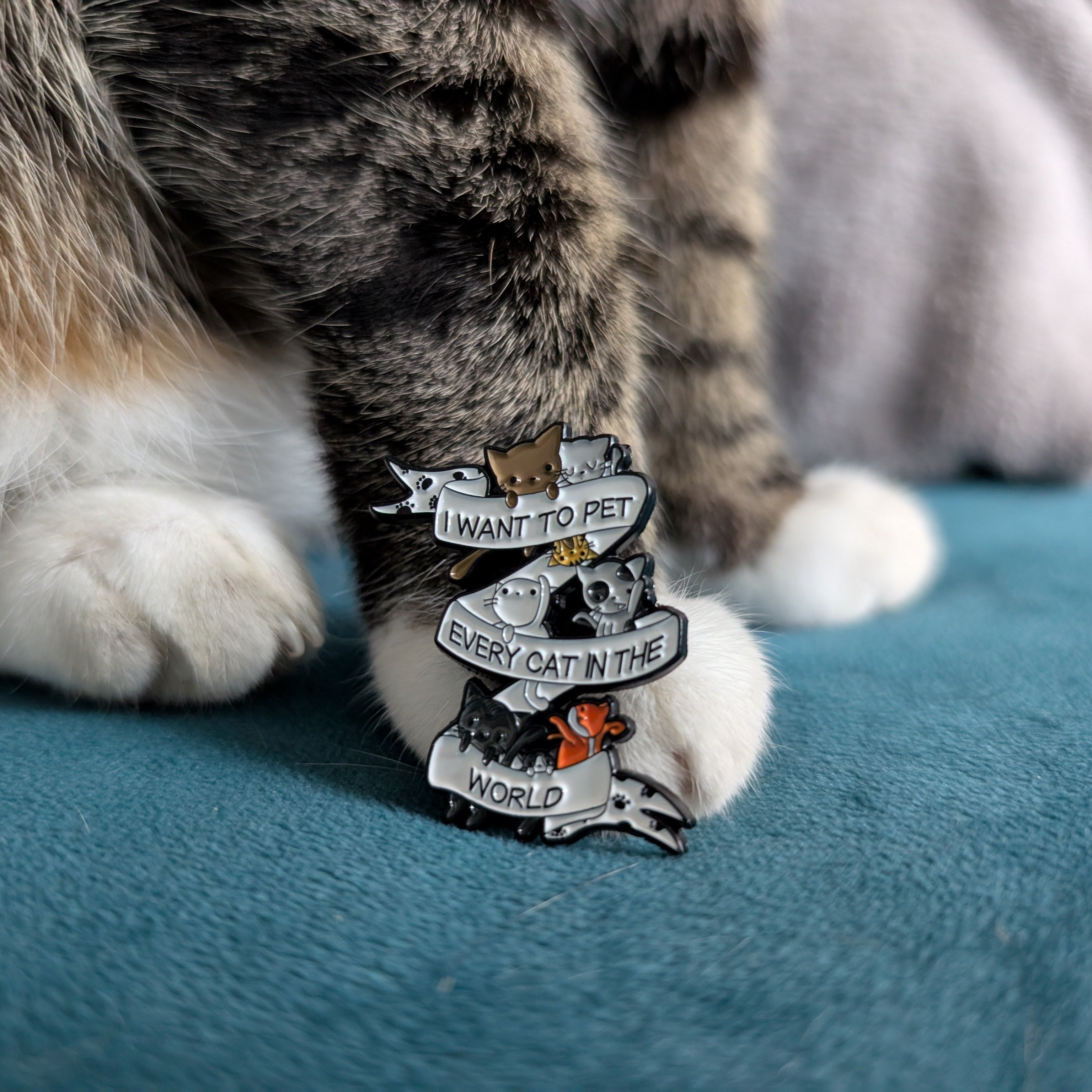 Pet Every Cat Pin