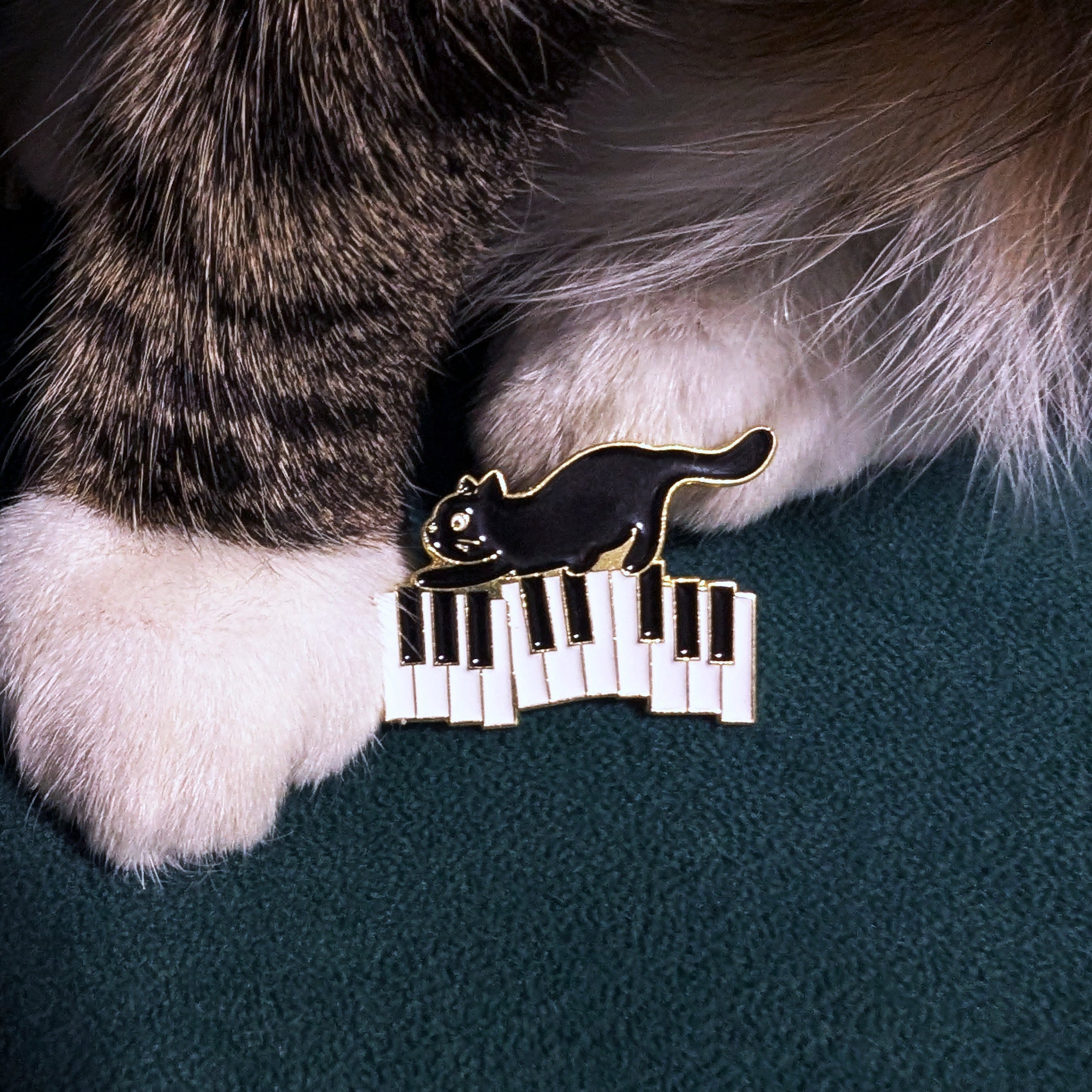 Black cat music staff enamel pin — musician gift