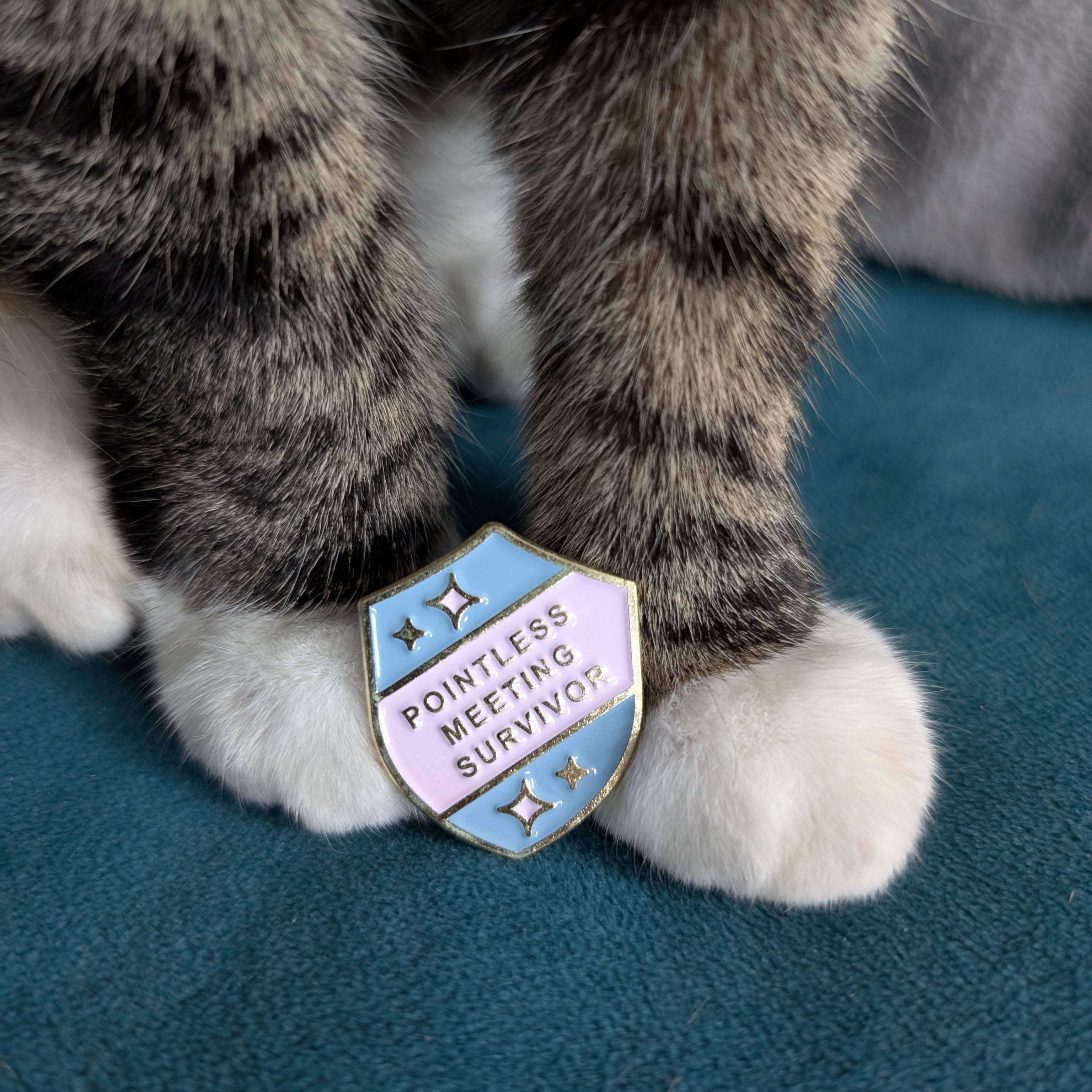 Cat's paw wearing a 'Pontiless Meeting Survivor' badge on a teal surface