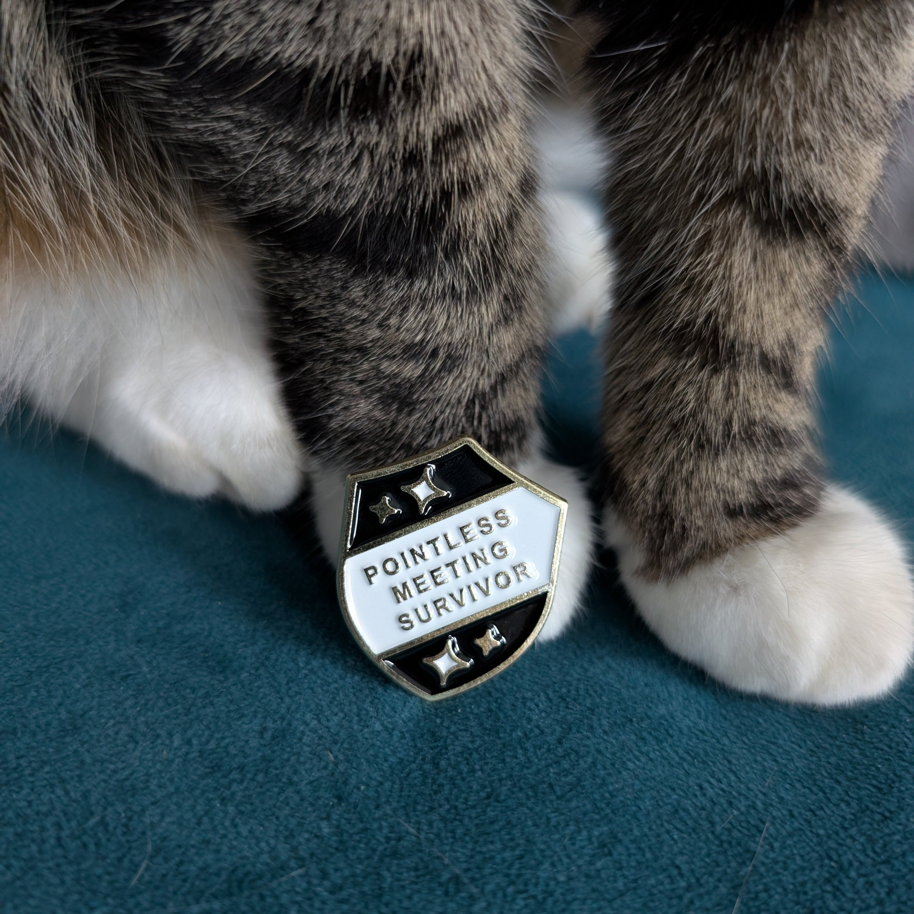 Cat's paw with a 'Pointless Meeting Survivor' badge on a teal surface