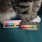 Two enamel pins shaped like battery chargers with the text 'MY SOCIAL BATTERY' are displayed on a dark teal surface, with a gray and white tabby cat's paws resting above them.