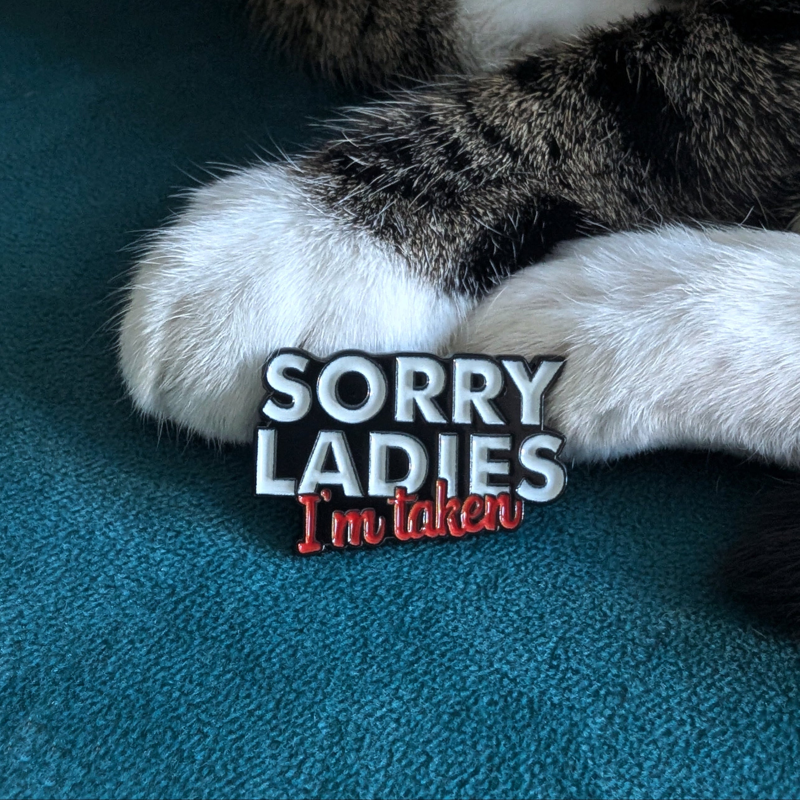 Sorry Ladies I'm Taken enamel pin — funny partner gift
