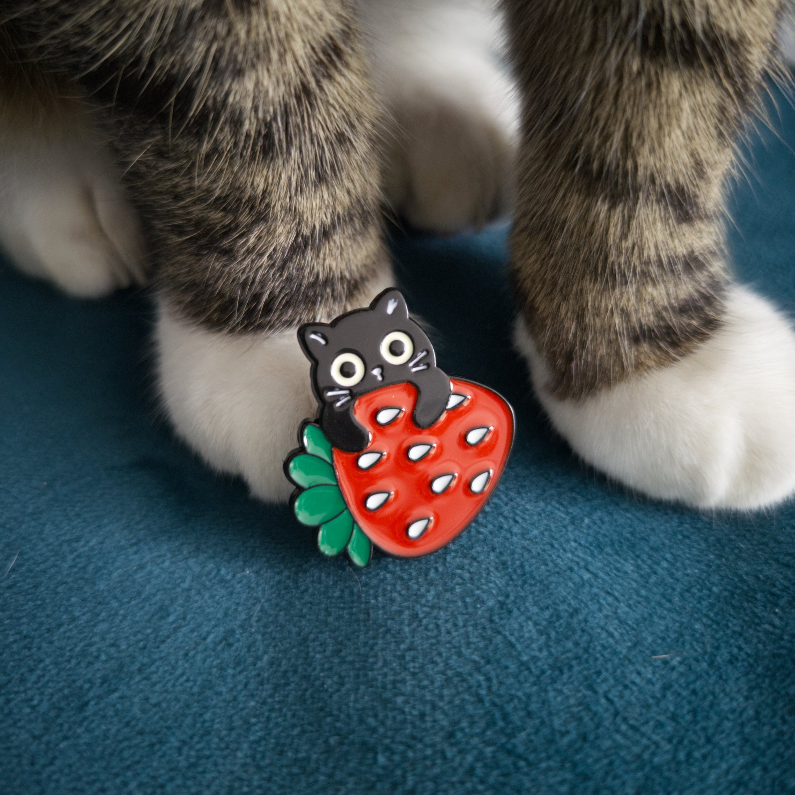 Cat on Strawberry Pin