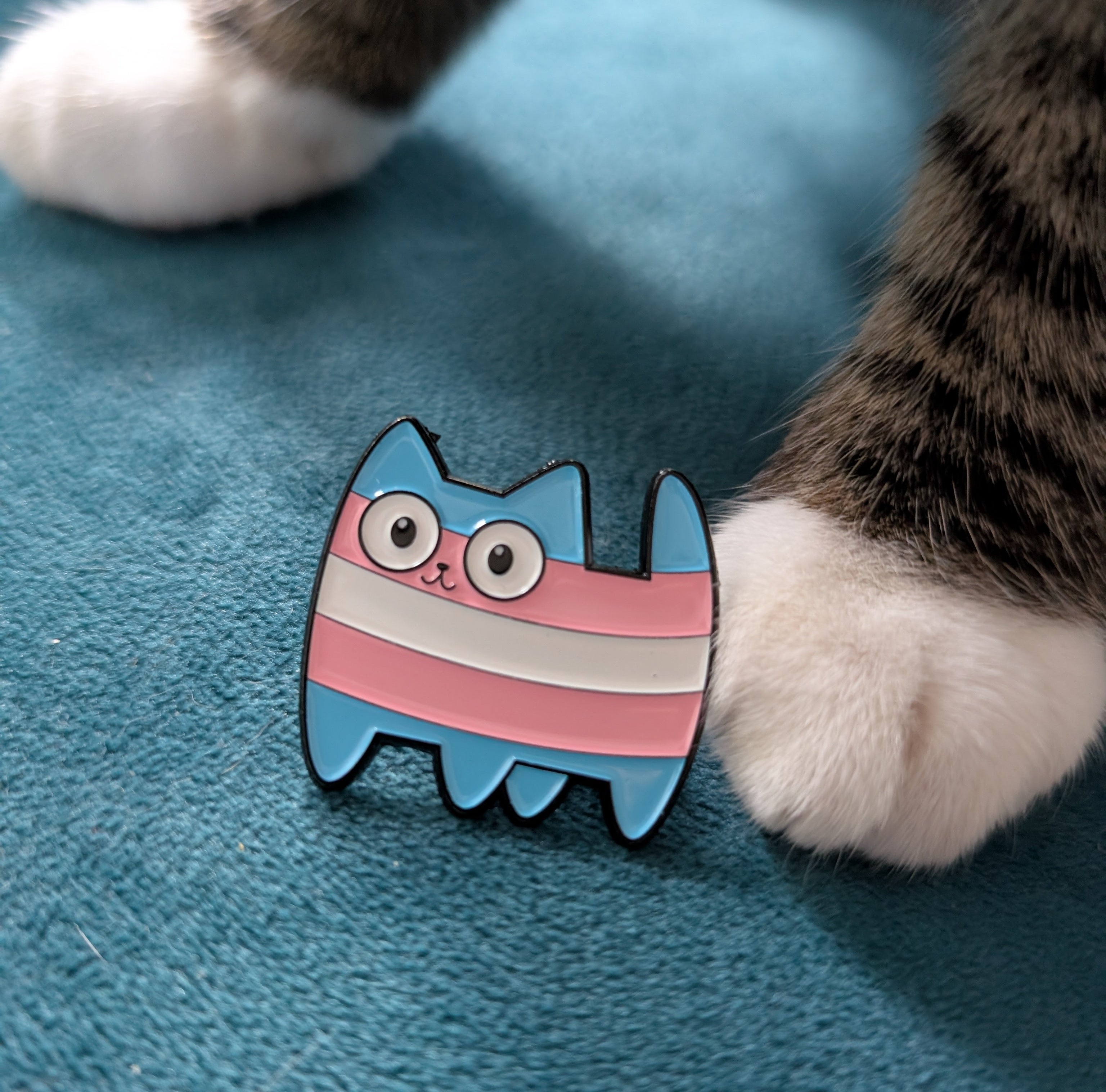 LGBTQ+ Cat Pin