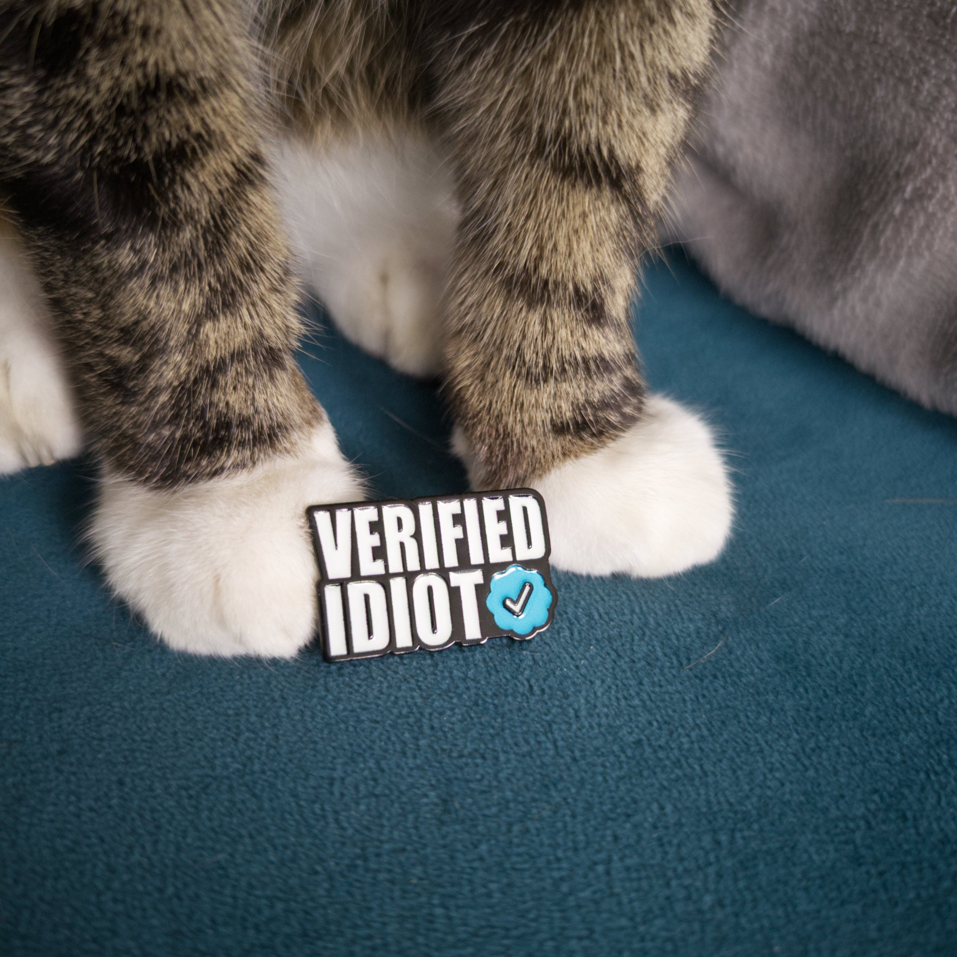 Cat's paws on a blue surface with a 'VERIFIED IDIOT' pin