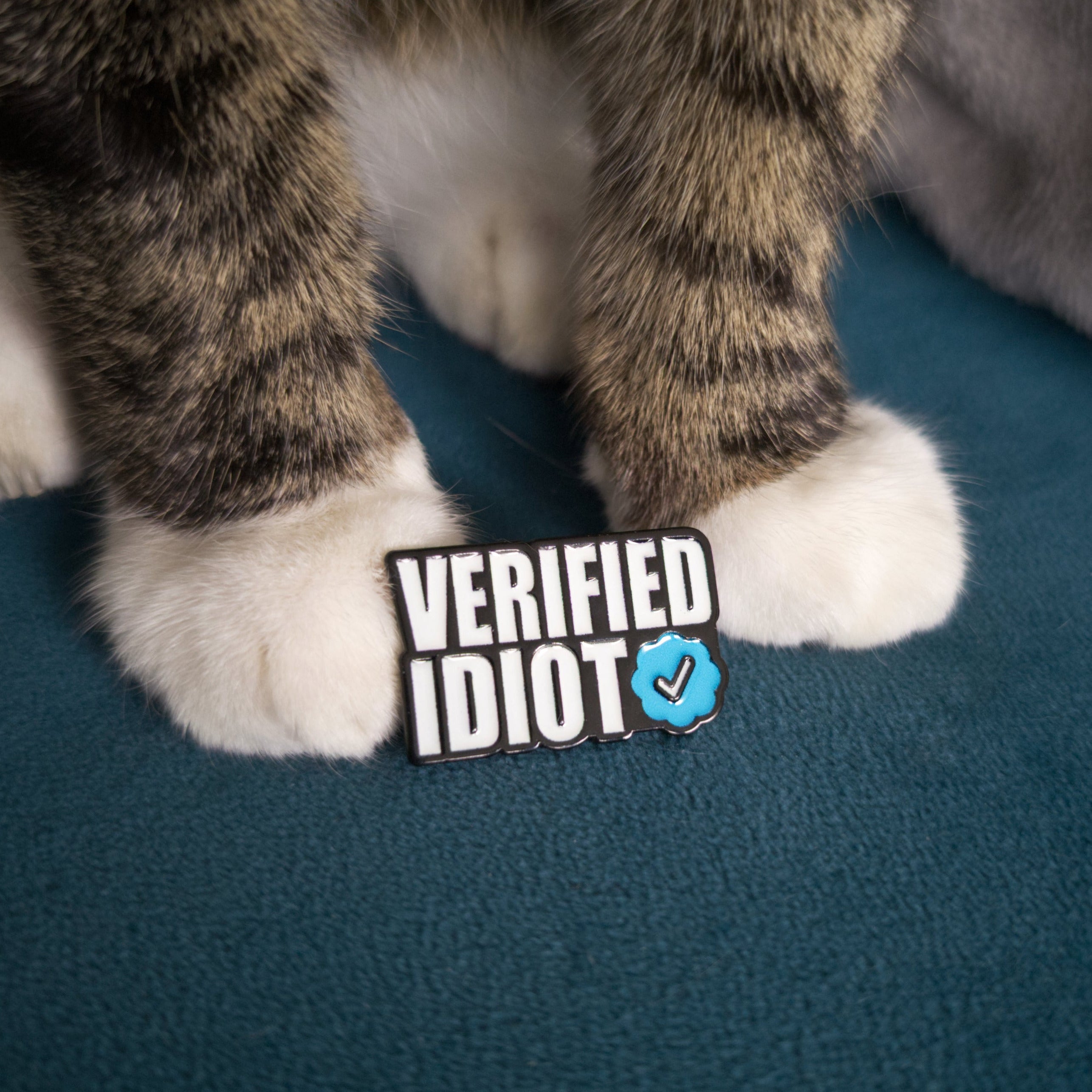 A close-up of a cat's paws standing on a dark teal blanket next to a small enamel pin that reads 'VERIFIED IDIOT' with a blue checkmark.