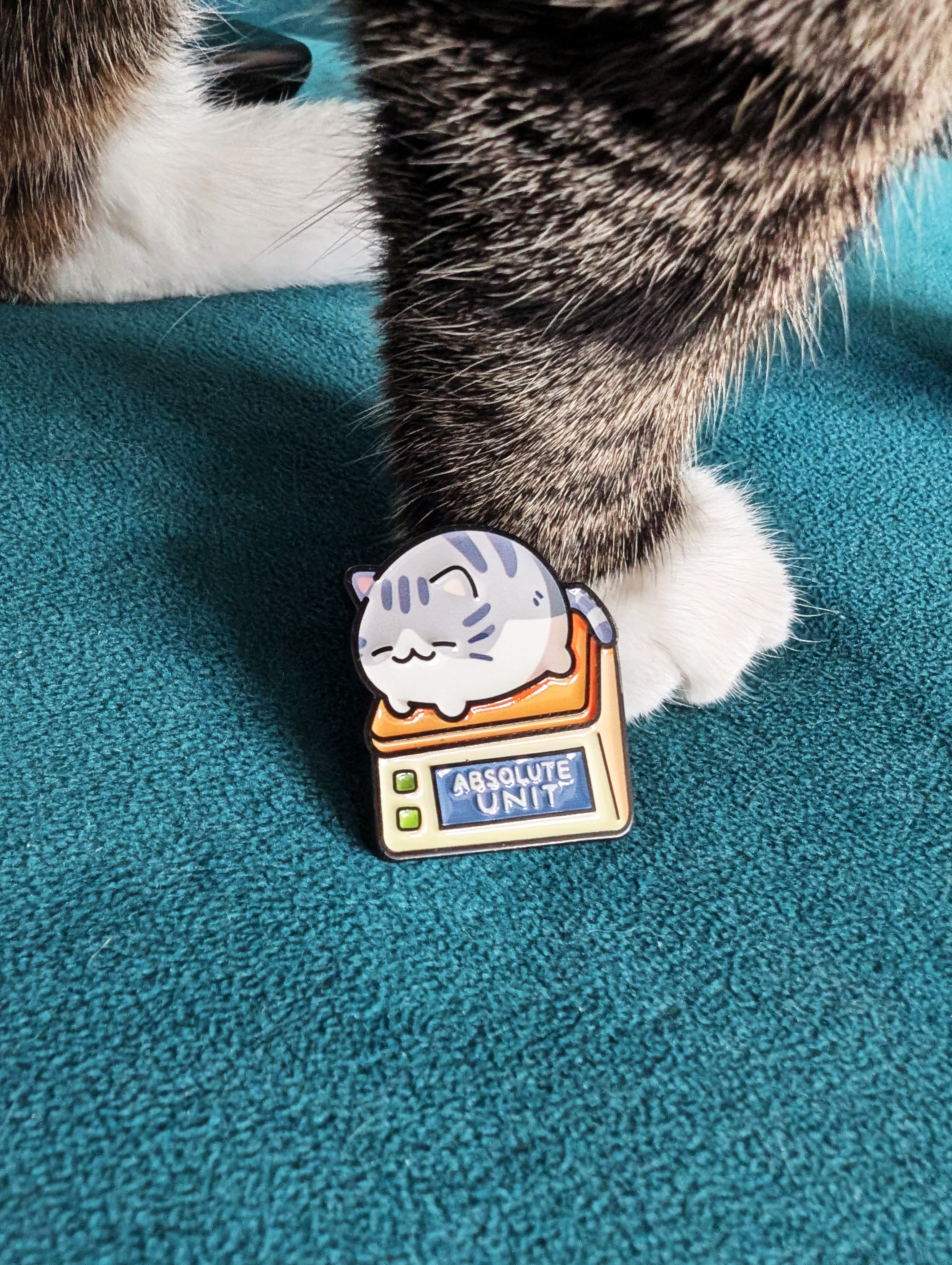 Pin's chat smol, absolute unit, chonky