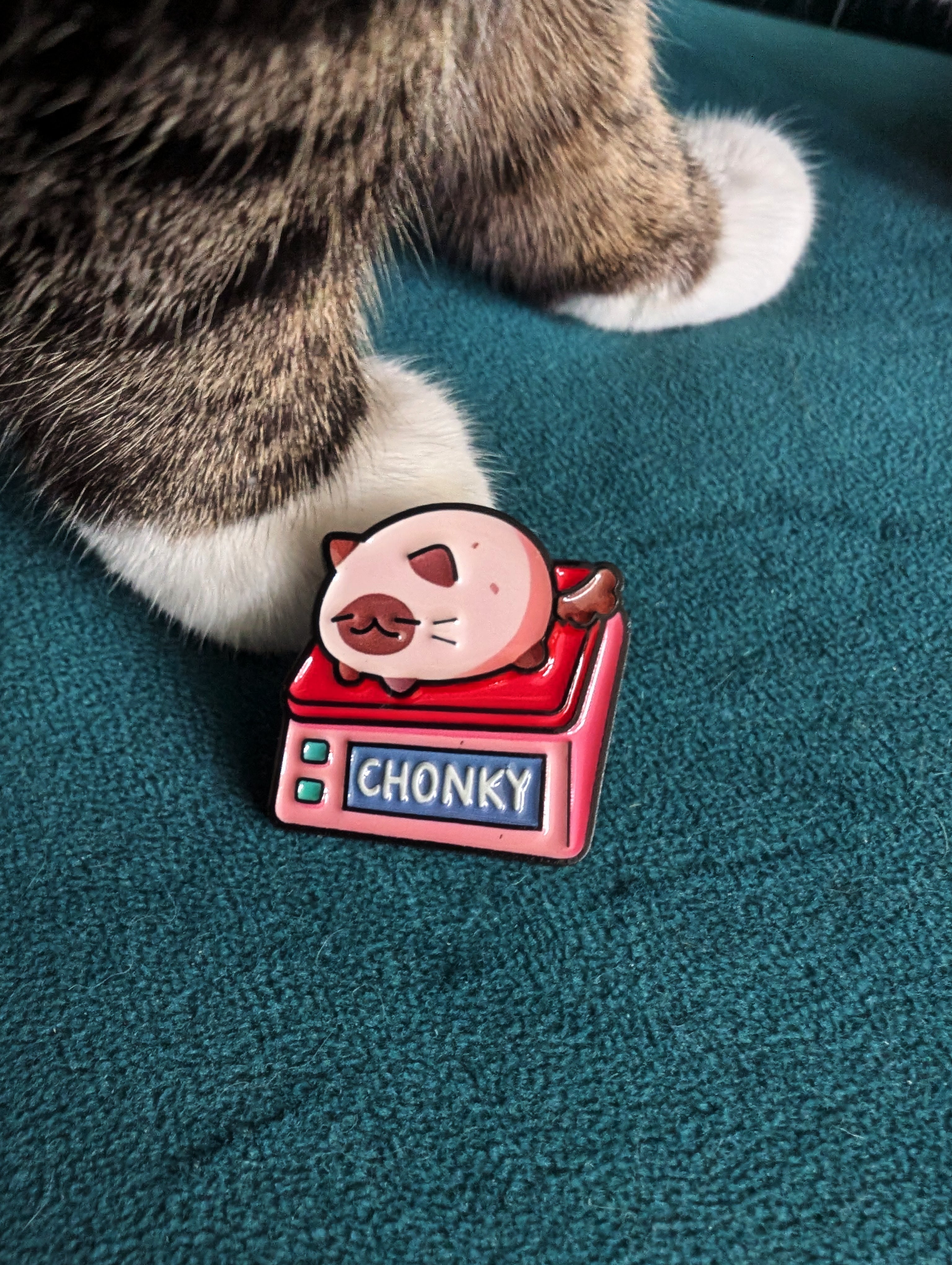 Smol, absolute unit & chonky kattenpin