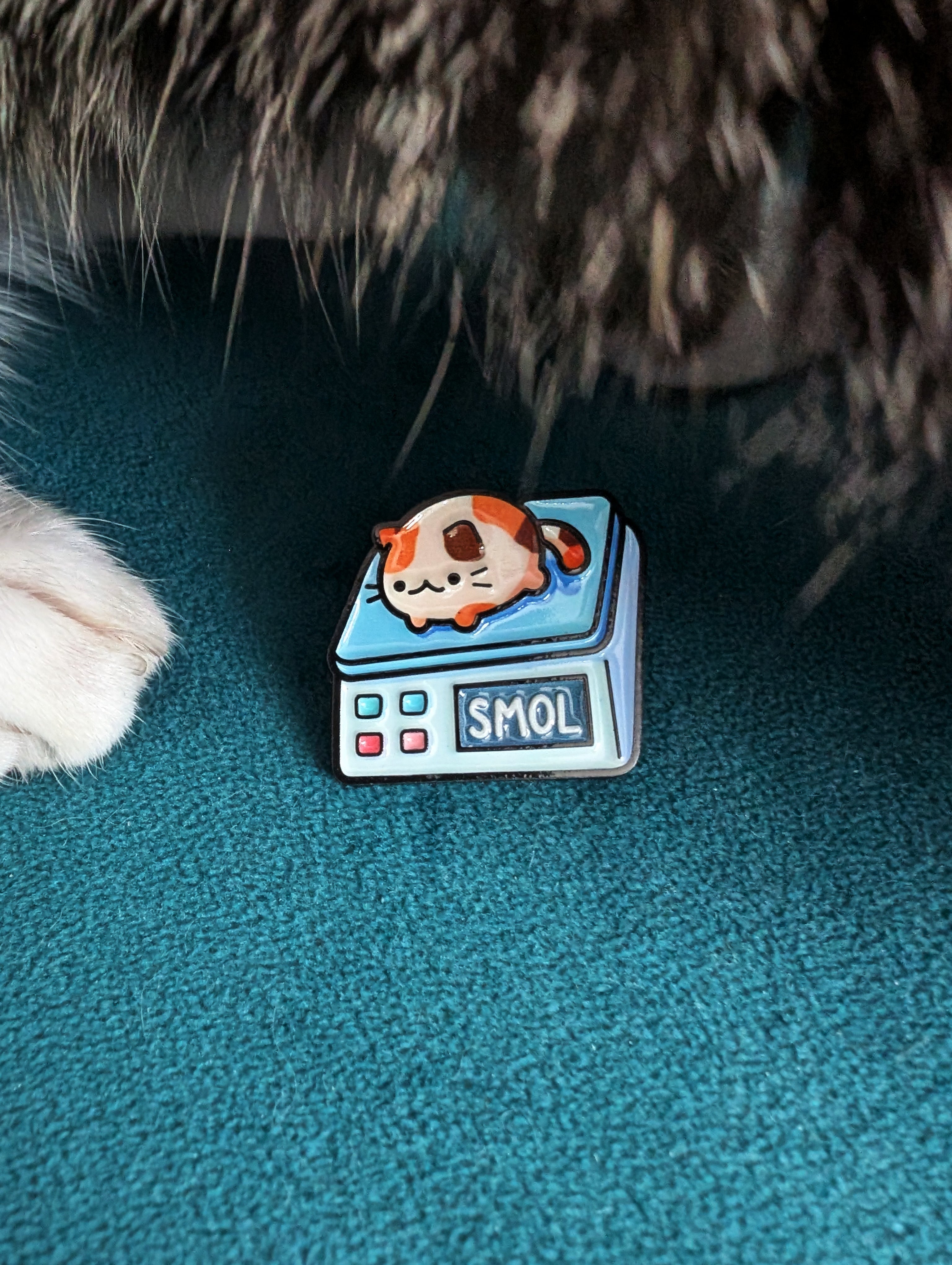 Pin's chat smol, absolute unit, chonky